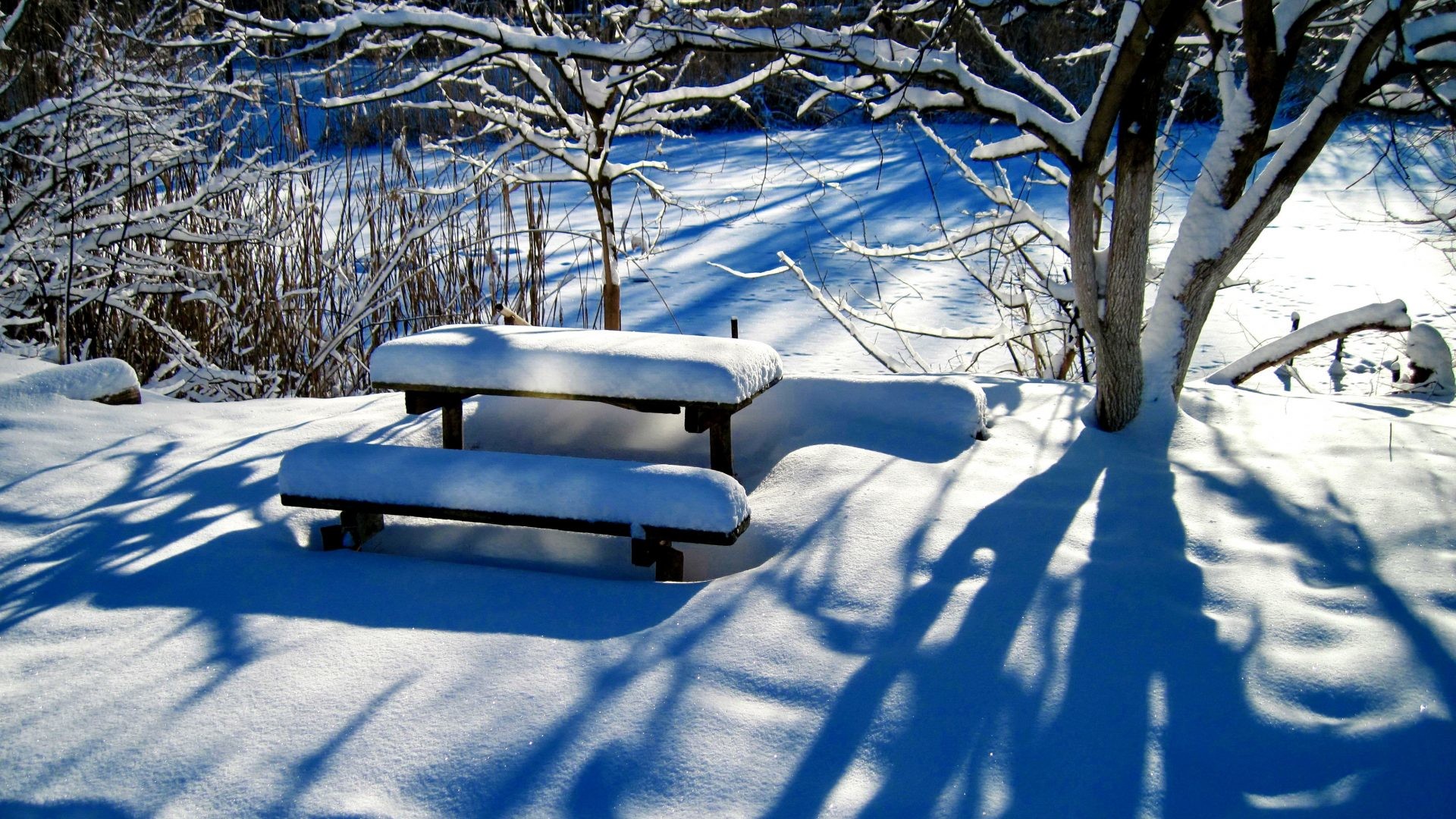 1920x1080 Winter Tag - Winter Sunny Quiet Trees Forest Rest Frost Lovely Bench  Shadows Beautiful Snow Park