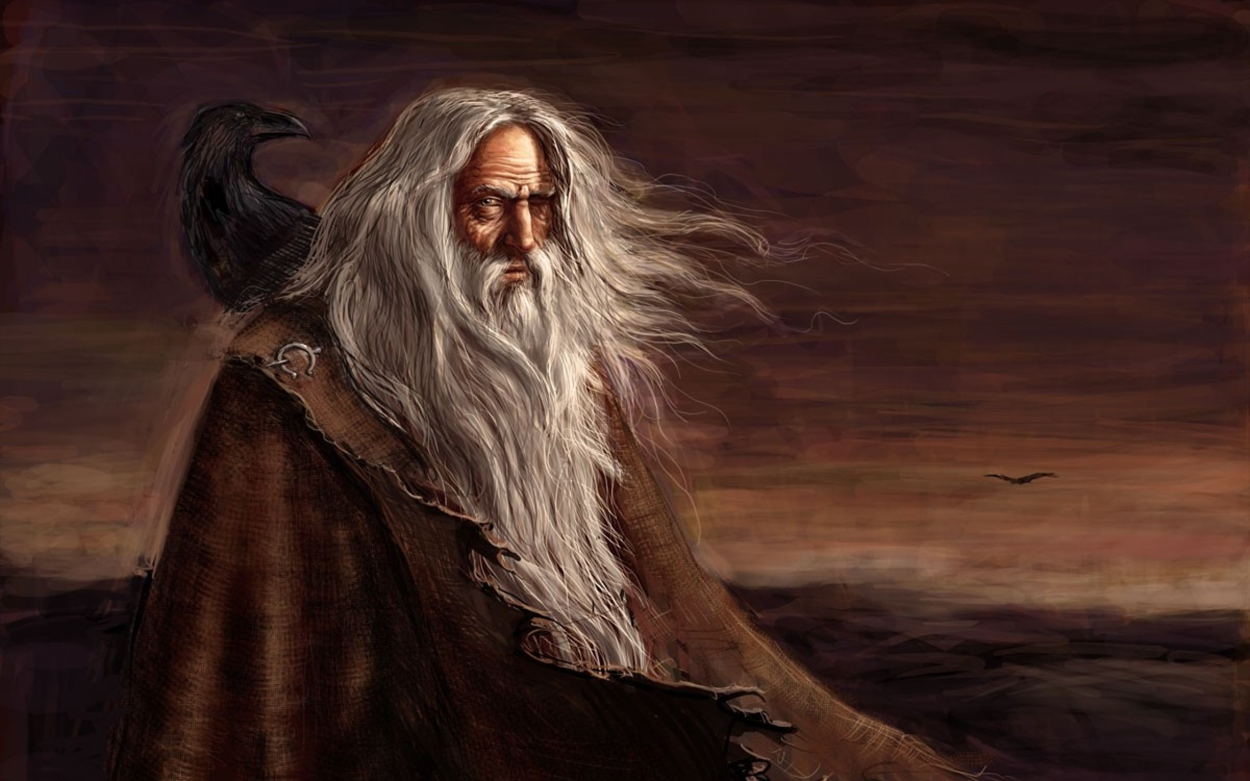 2560x1600 fantasy art odin mythology ravens gods paganism Wallpaper HD