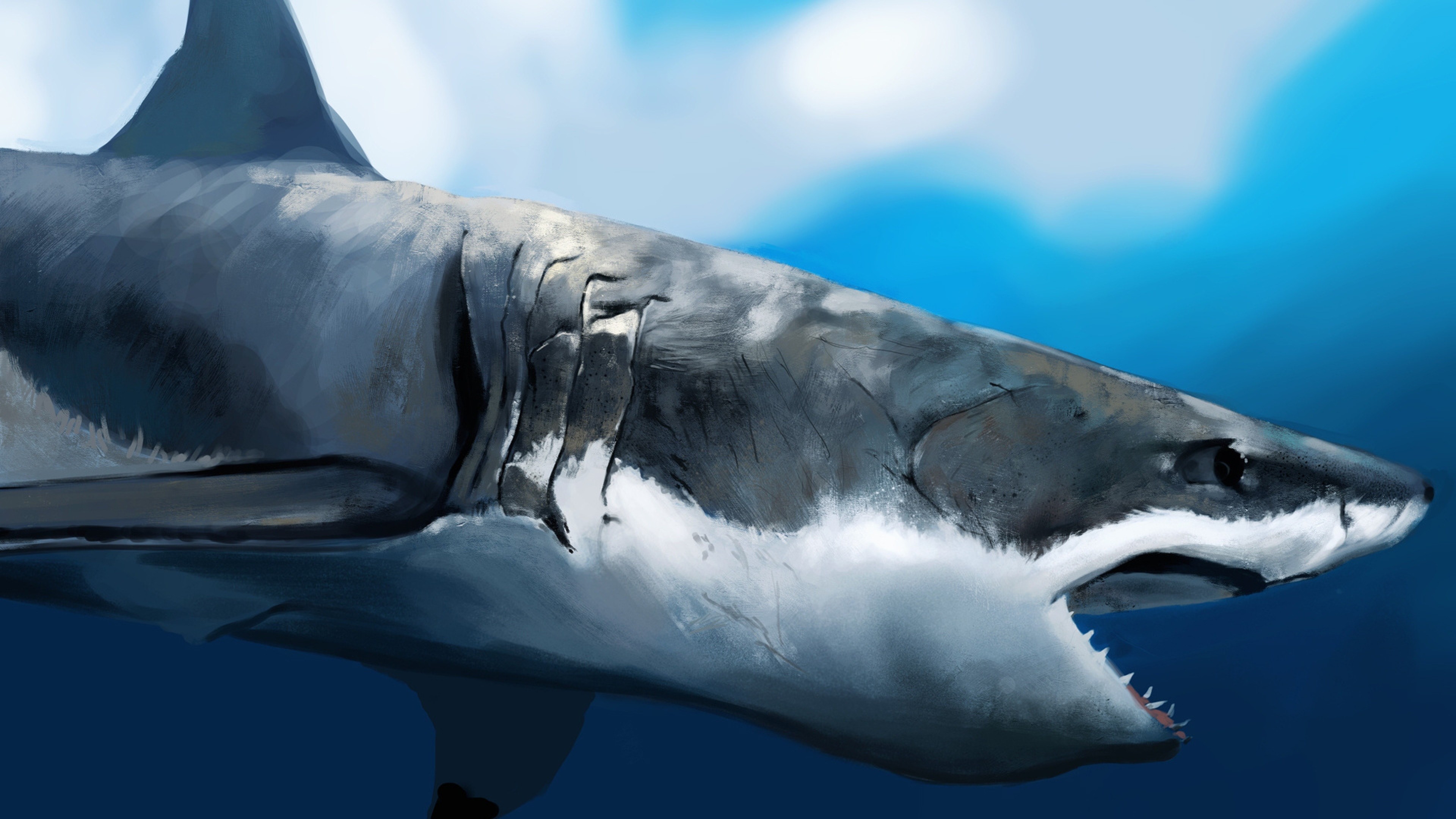 3840x2160 maw shark art under the water hunger profile hd background wallpapers free  amazing cool tablet smart phone high definition 3840Ã2160 Wallpaper HD