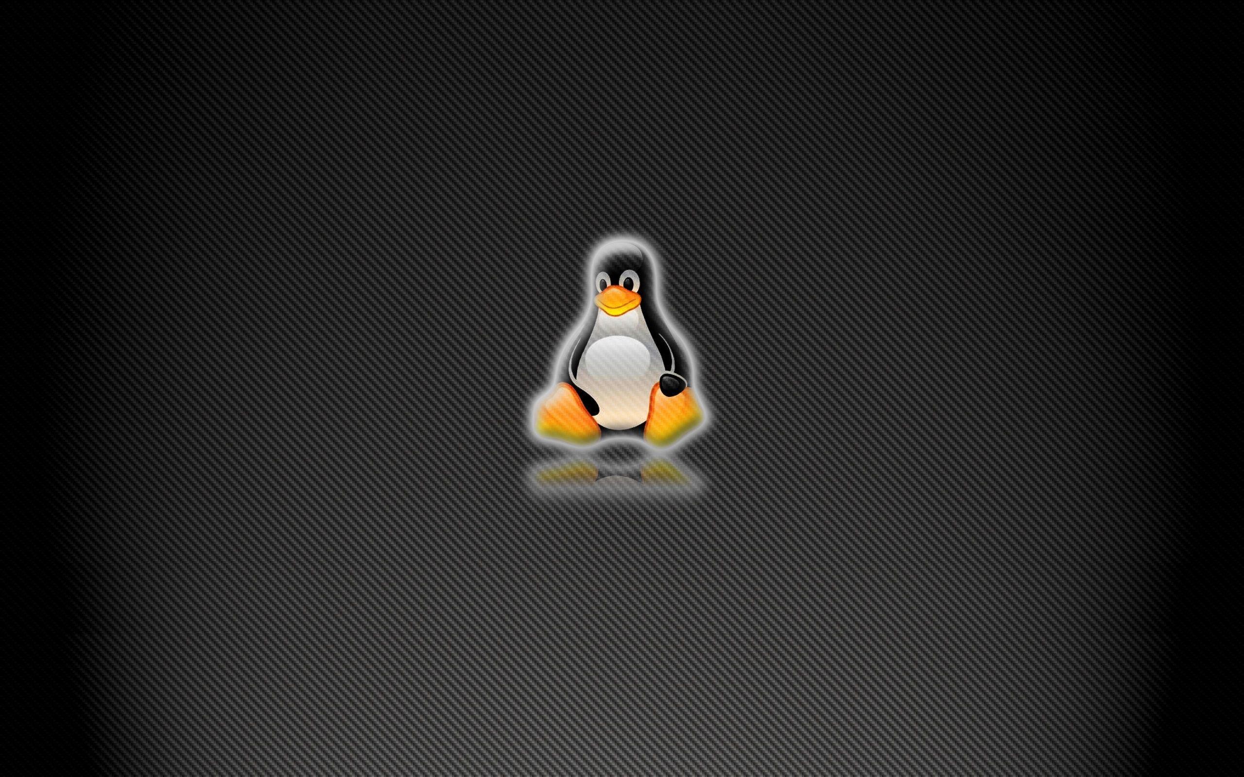 2560x1600 Linux Hd Wallpaper Background Dual Screen 8826 HD Pictures | HD .