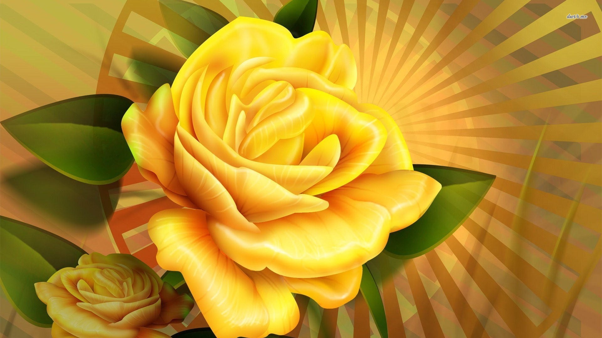 1920x1080 ... Yellow rose wallpaper  ...