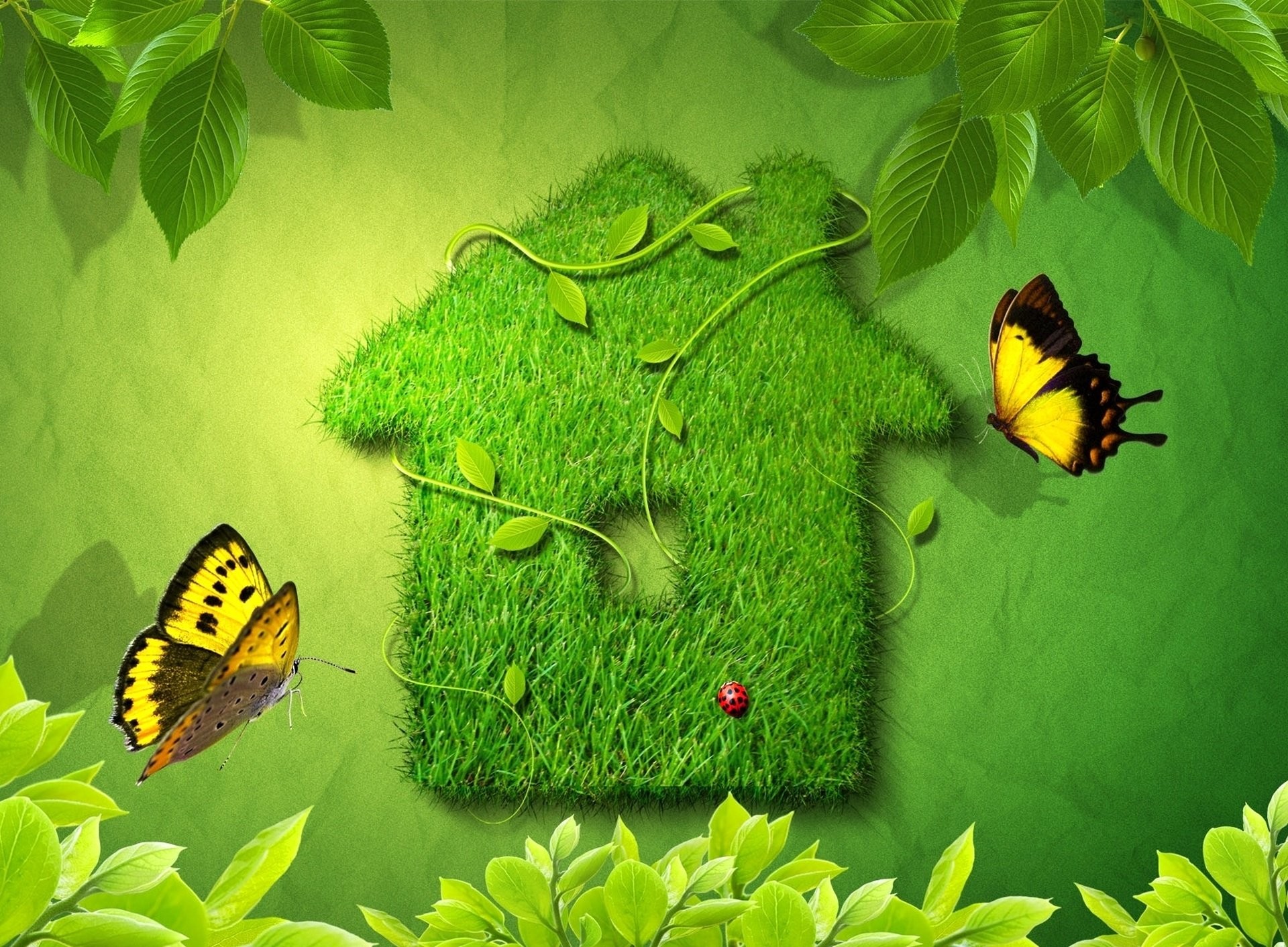 1920x1411 Herbal House Leaves Butterfly Ladybug Wallpaper At 3d Wallpapers