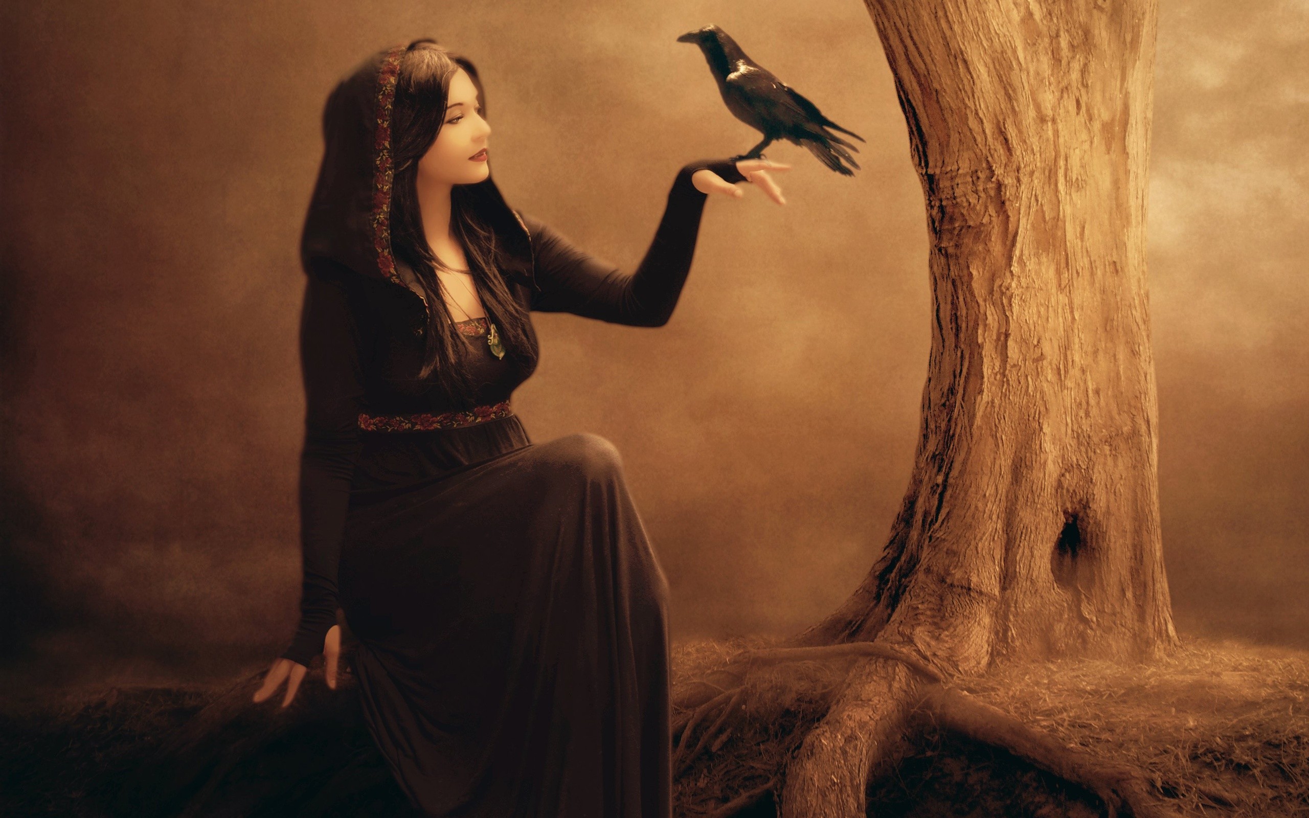 2560x1600 Beautiful fantasy girl, raven, tree, witch, black dress wallpaper 