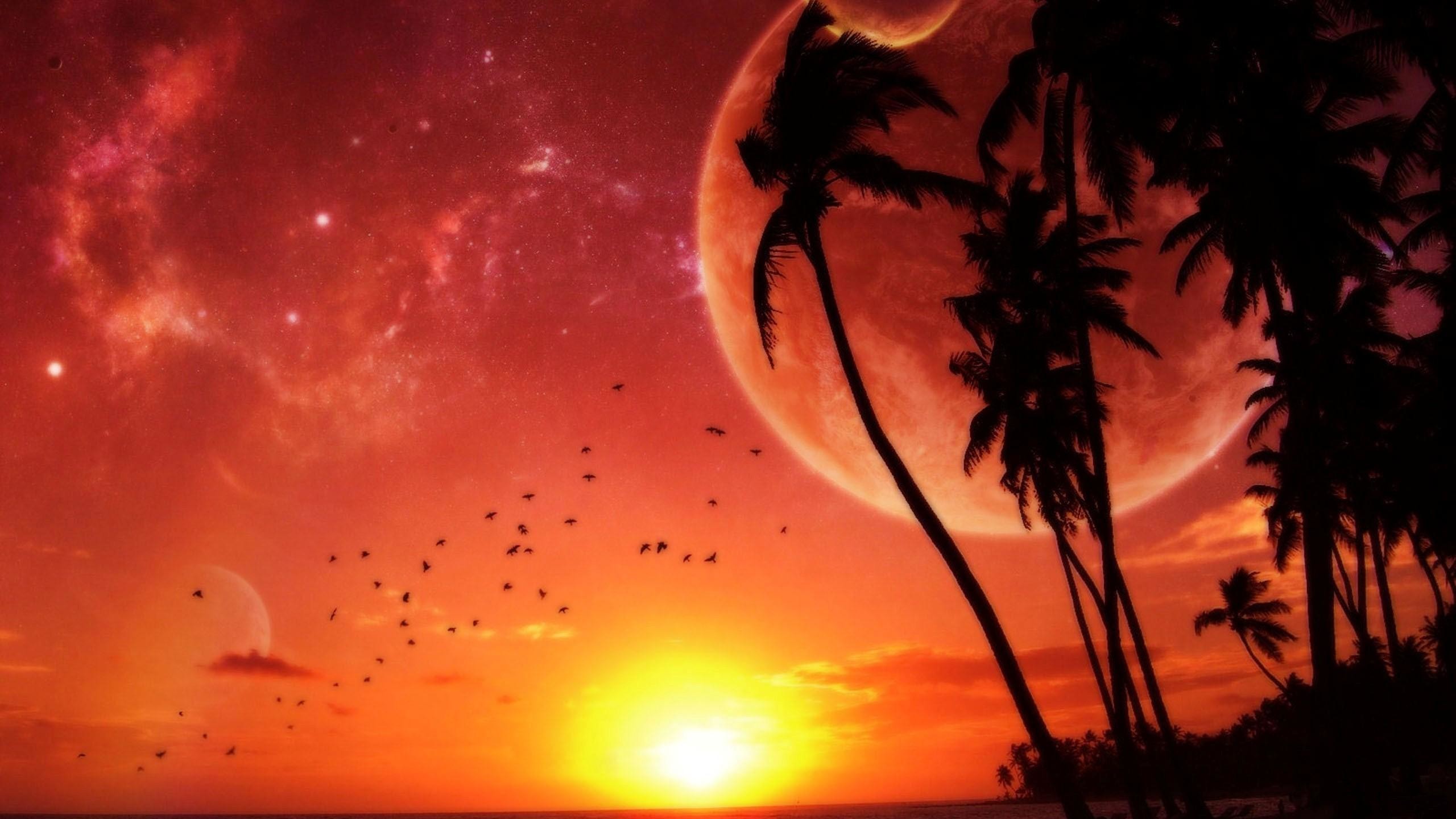 2560x1440 Tropical Island Sunset Wallpapers Wide