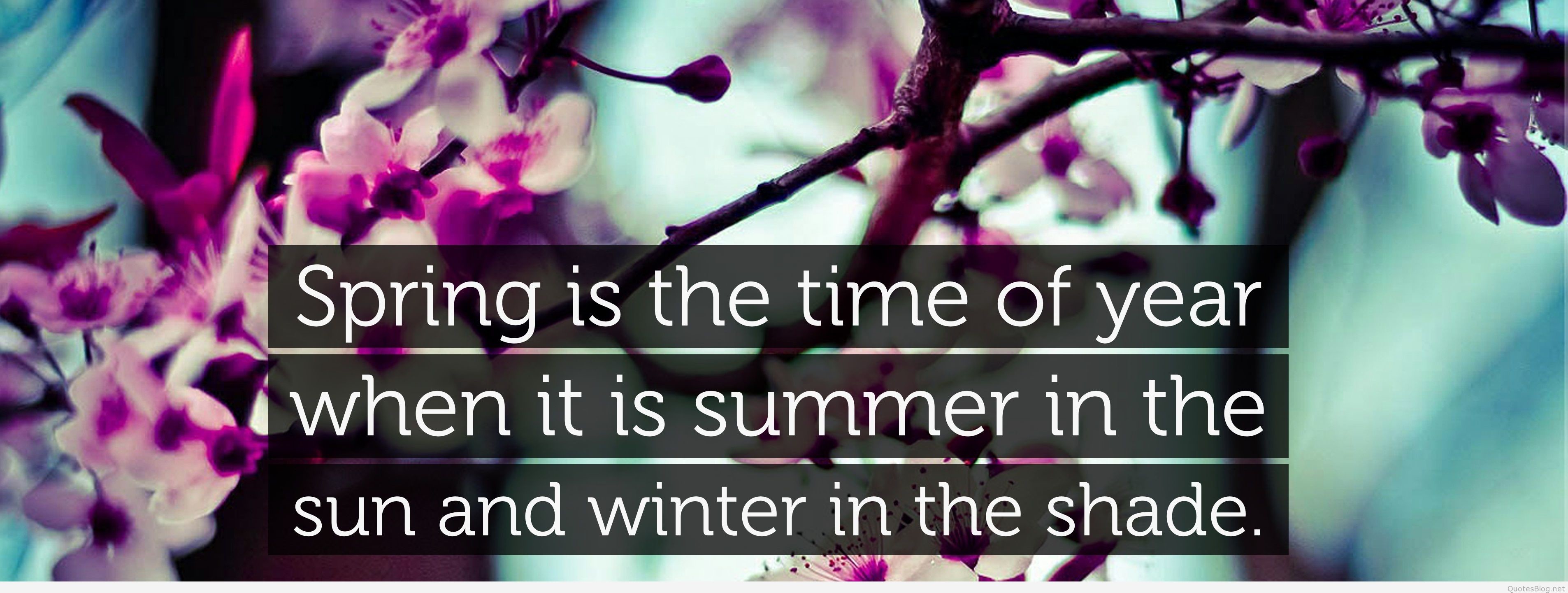 3811x1441 17318-Charles-Dickens-Quote-Spring-is-the-time-