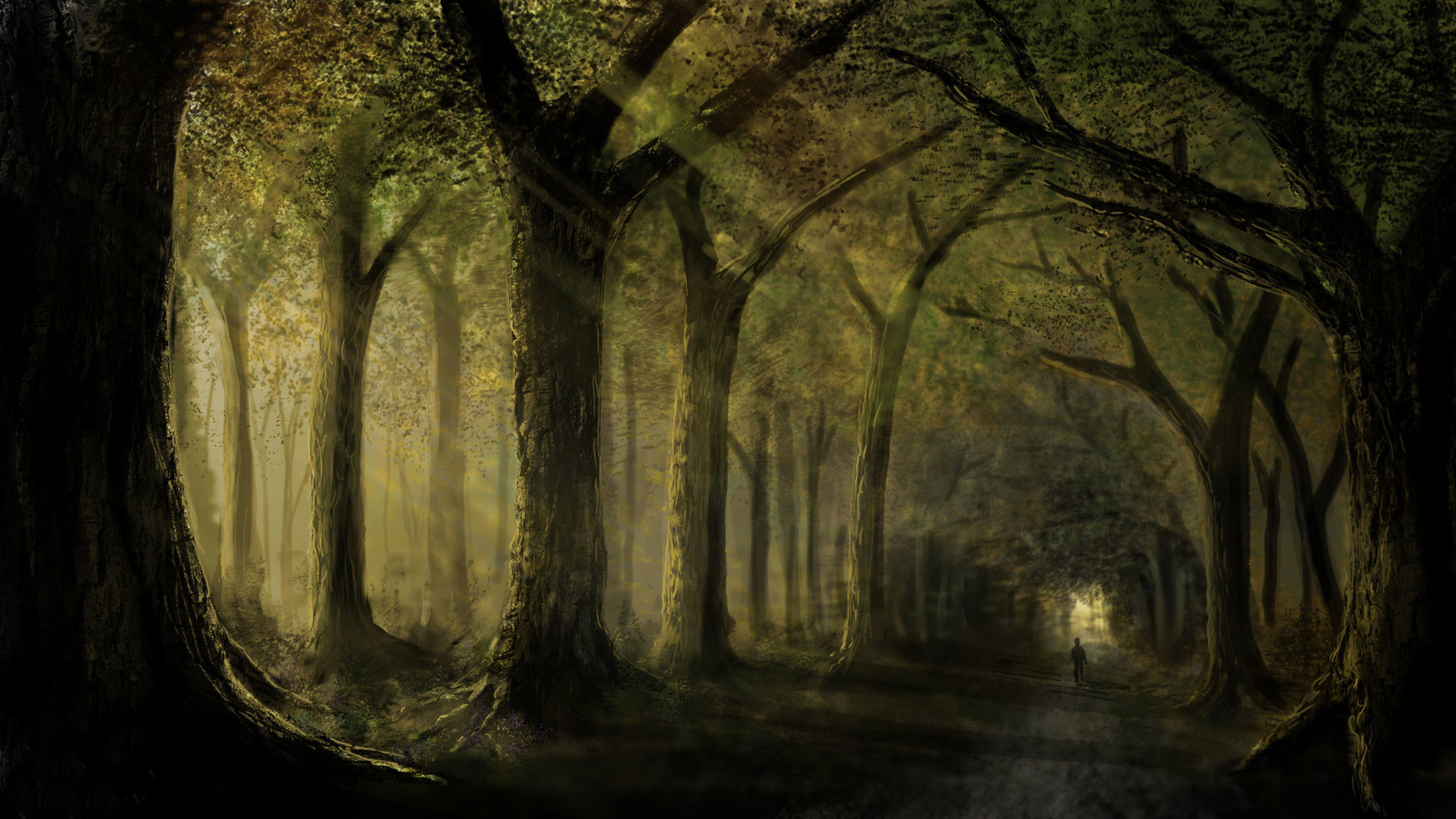 1920x1080 hd pics photos best dark nature trees woods horror forest path hd quality  desktop background wallpaper