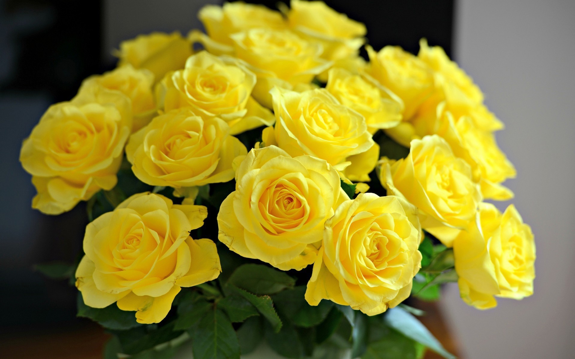 1920x1200  Beautiful Yellow Roses Wallpaper Â· 0 Â· Download Â· Res:   ...