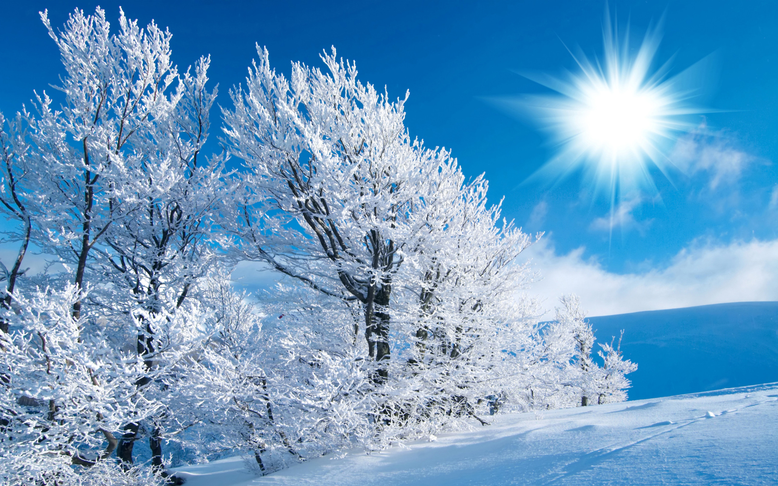 2560x1600 13, 2015 By Stephen Comments Off on Winter Scenes HD Wallpaper .