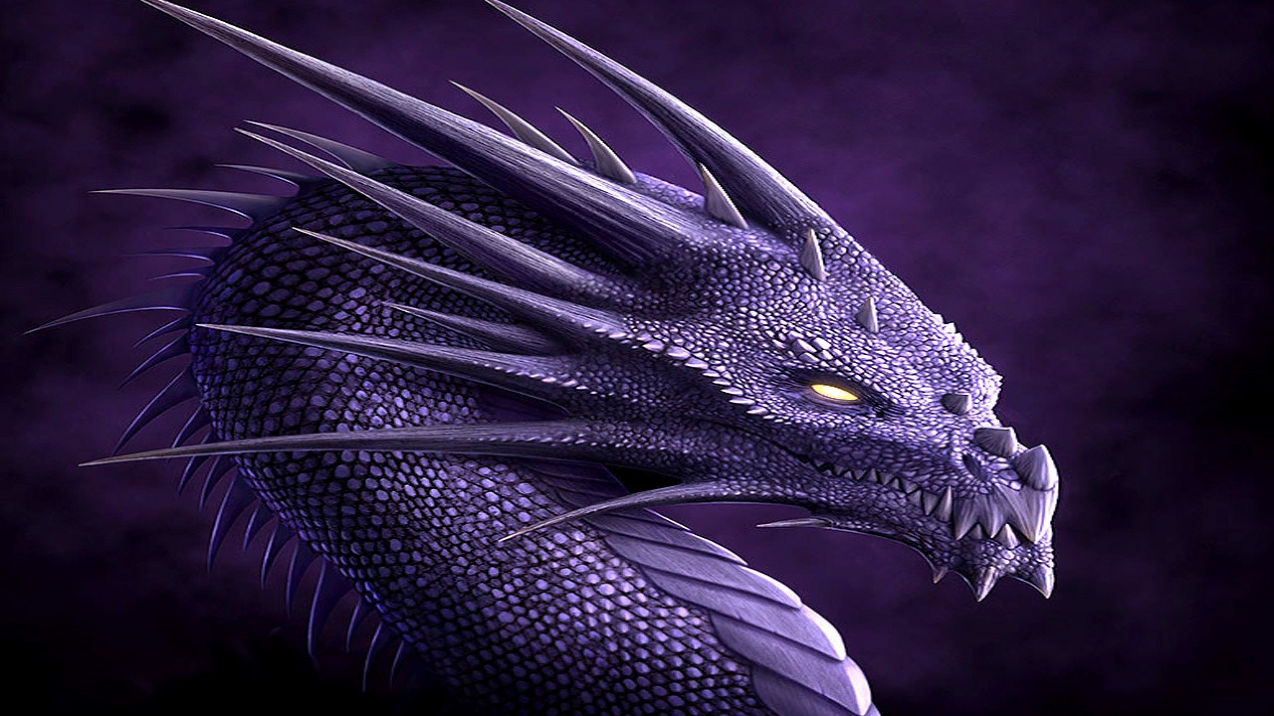 2560x1440  Wallpapers For > Blue Dragon Wallpaper Hd 1080p