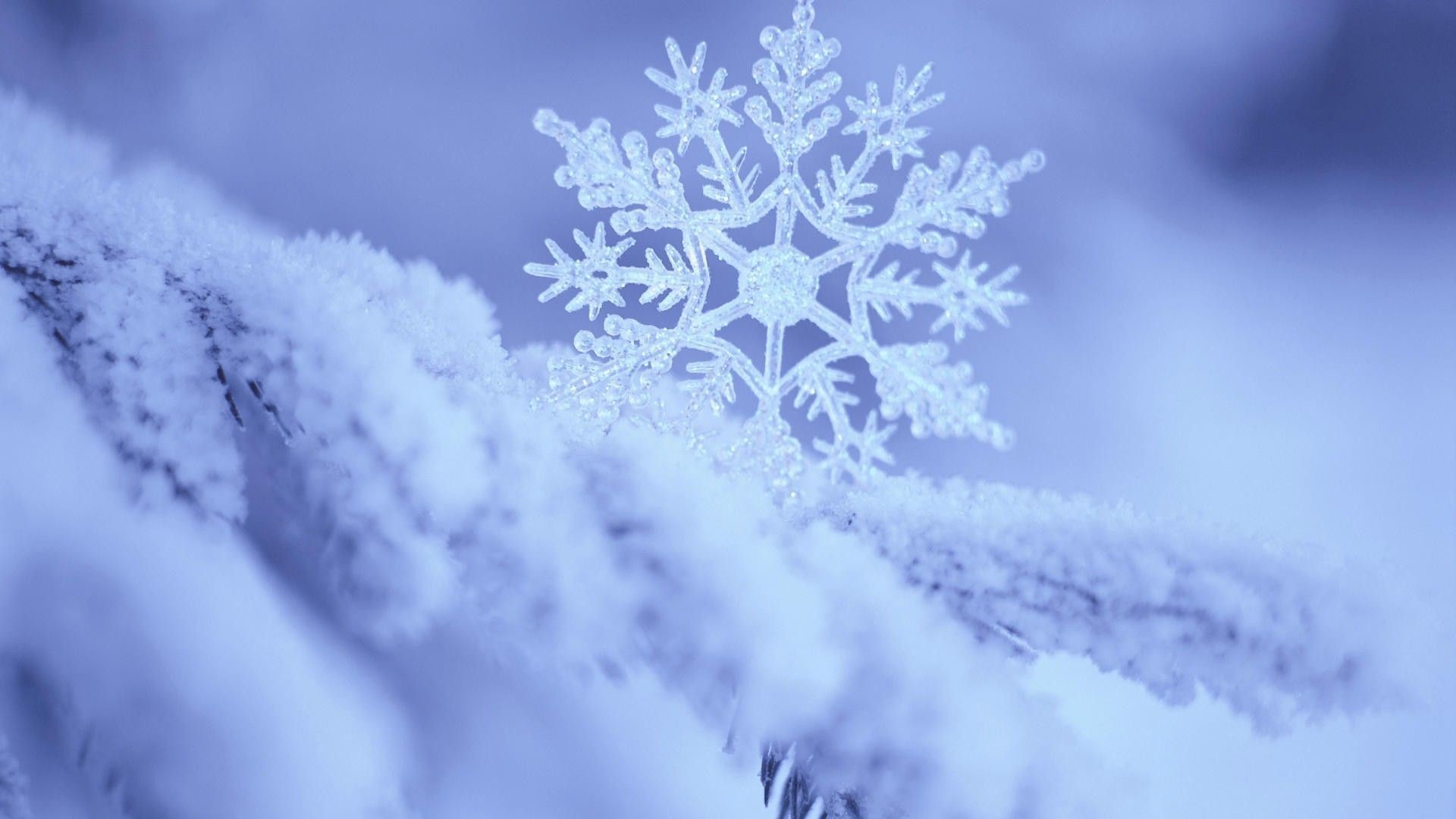 1920x1080 snow flake wallpaper The gallery for --> Snowflake Wallpapers Hd