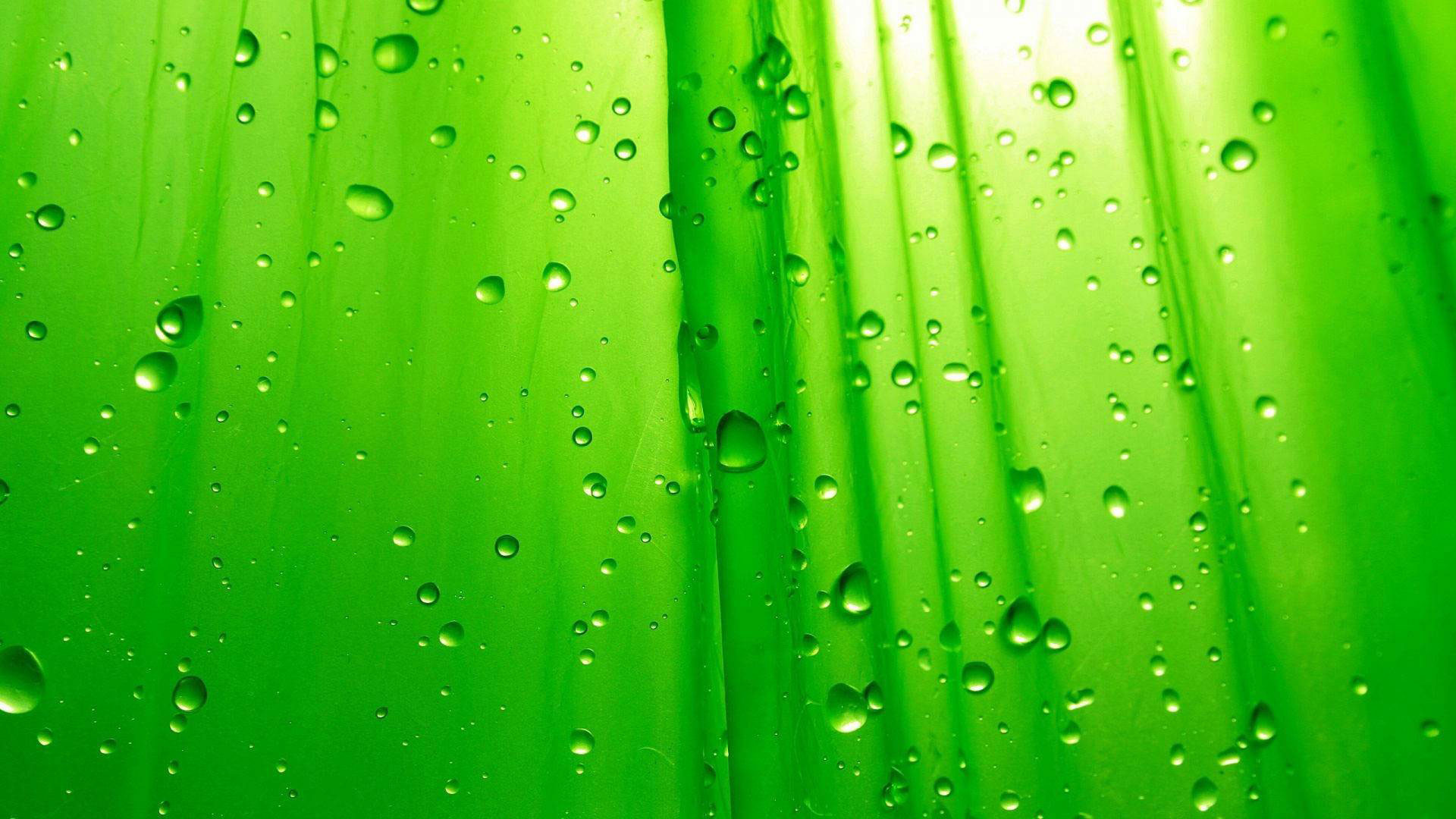 1920x1080 hd pics photos green nature water drops desktop background wallpaper