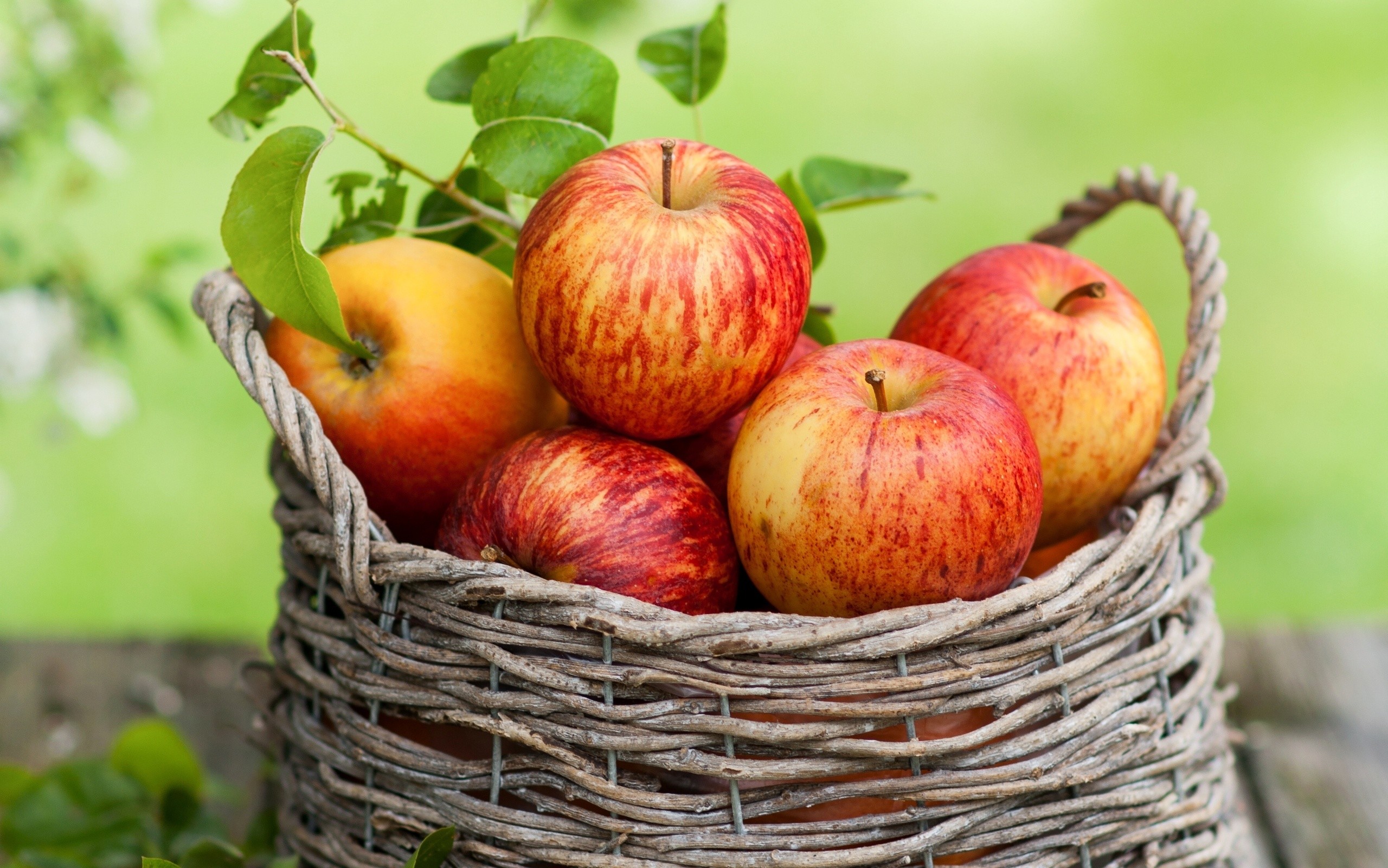 2560x1600 Red Apple In Wooden Basket