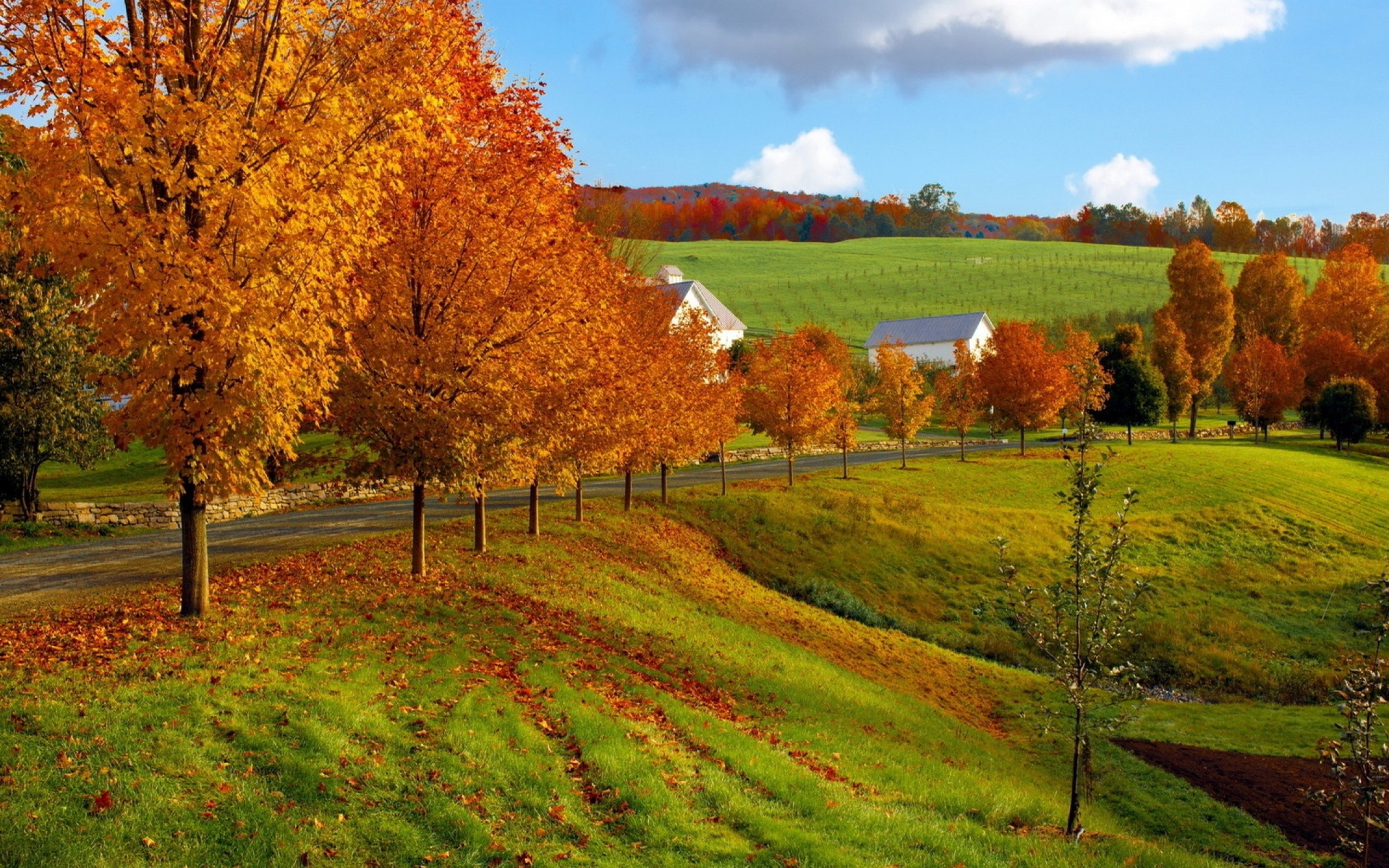 2560x1600 pin Wallpaper clipart countryside #9