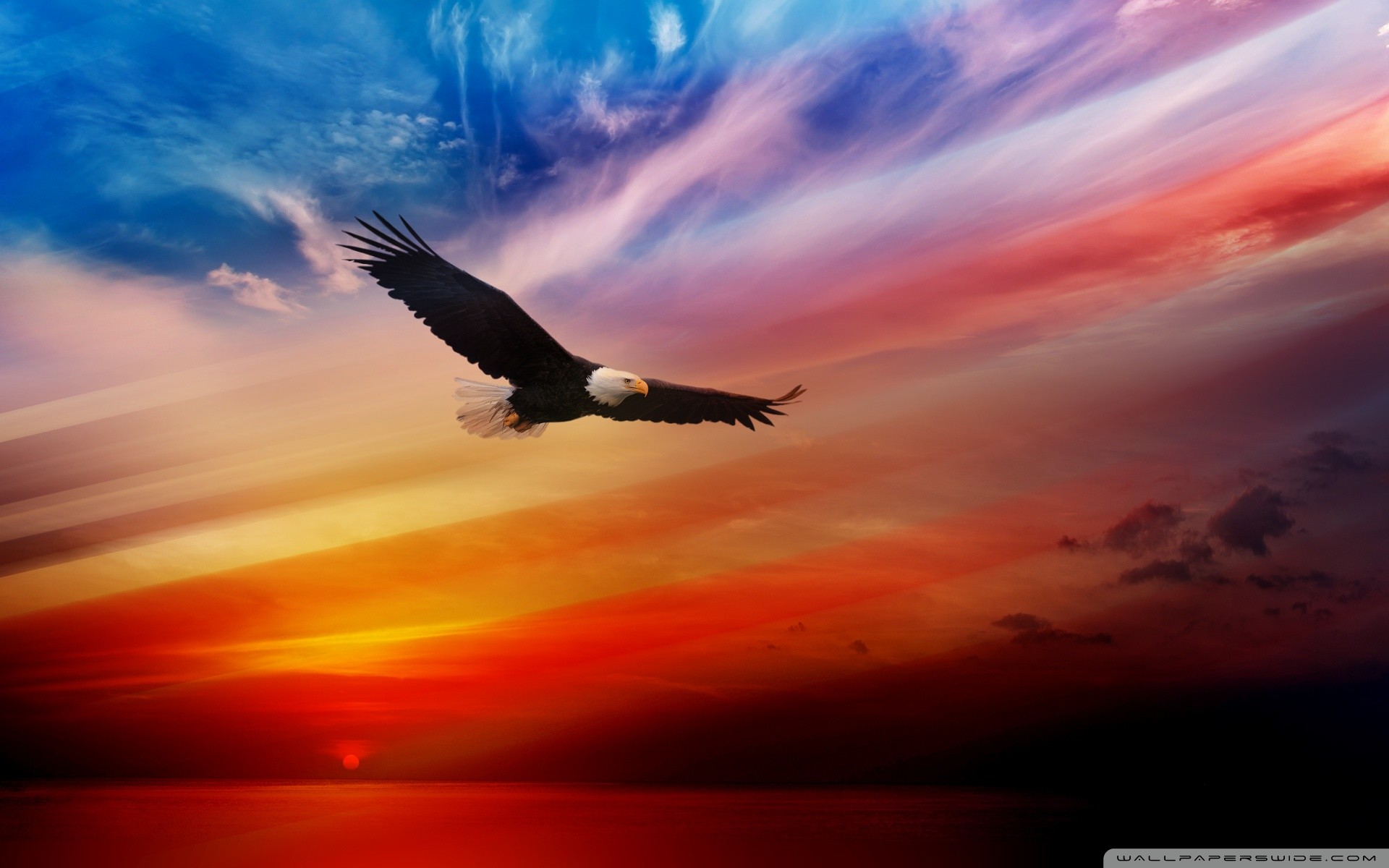 1920x1200 Free HD USA Wallpapers: The Beauty Of Diversity In USA