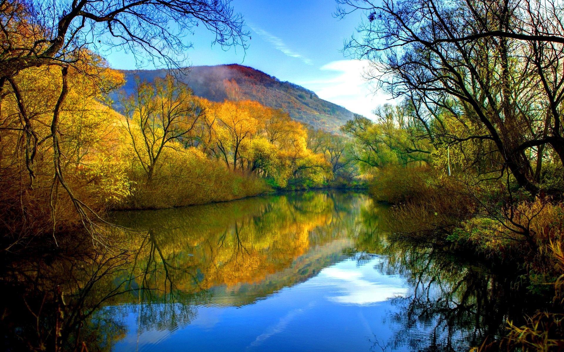 1920x1200 Fall River Peaceful Water Willow With Yellow Leaves Blue