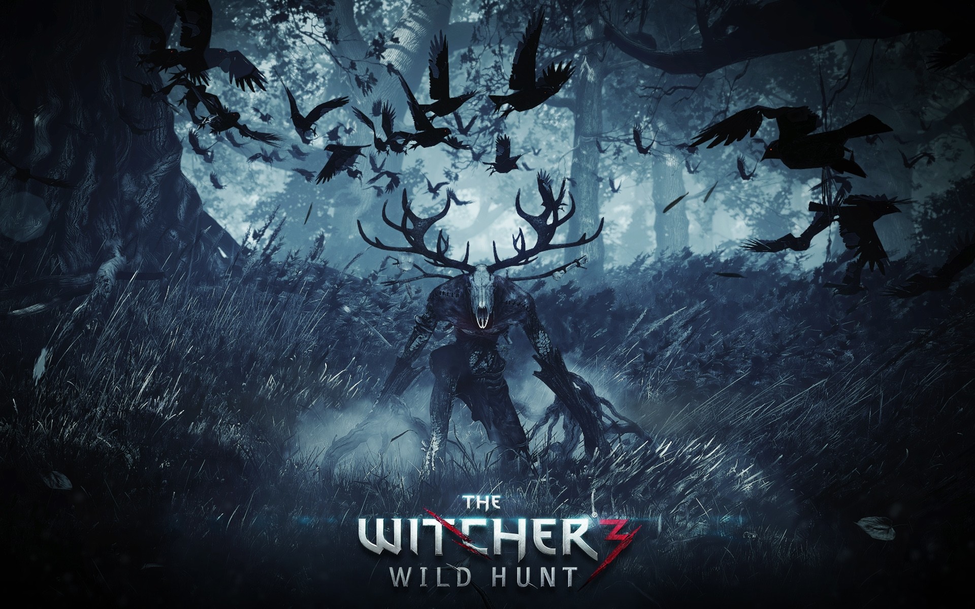 1920x1200 The Witcher 3: Wild Hunt