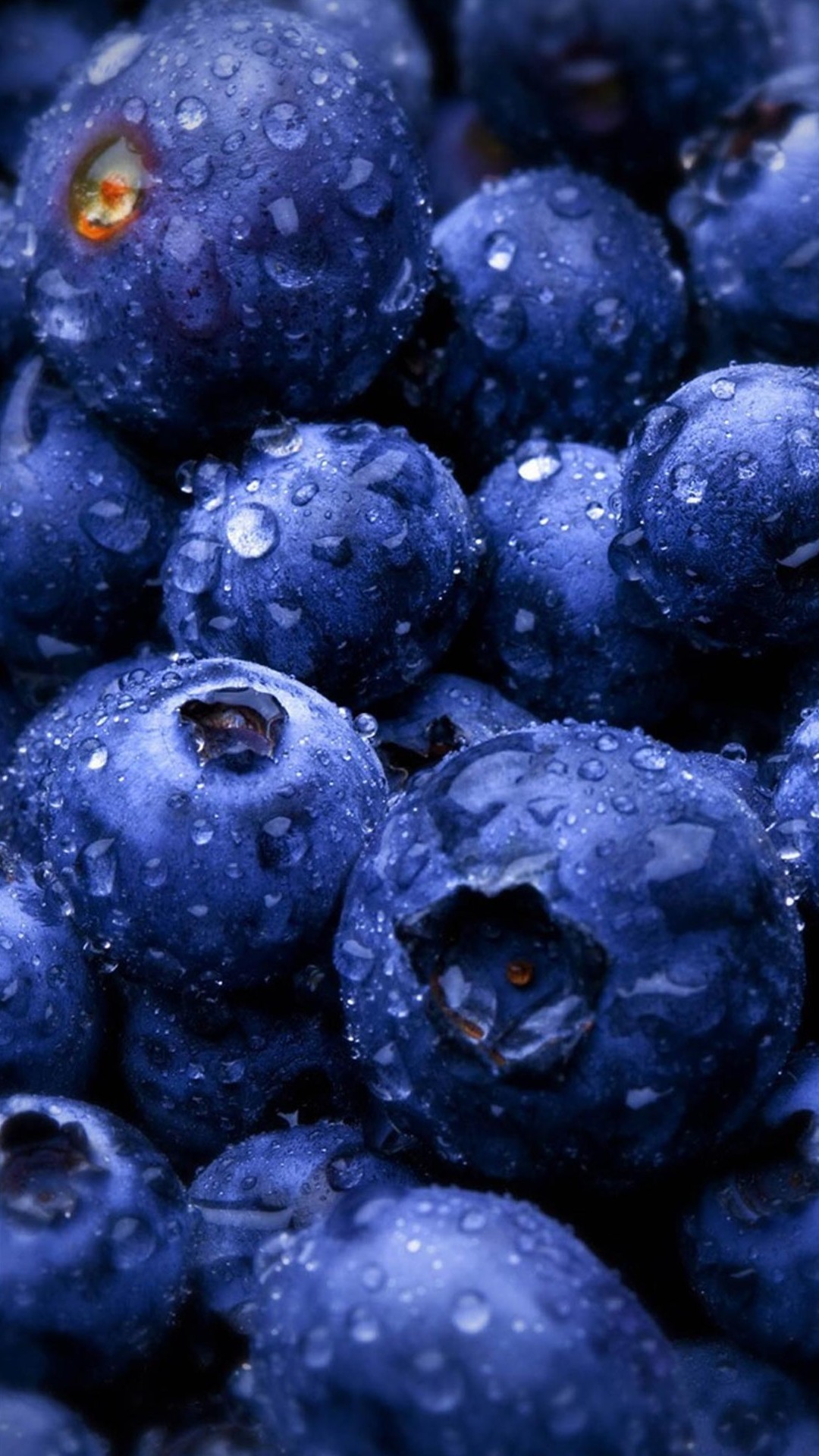 1080x1920 HD Blueberries Fruit Water Drops Android Wallpaper