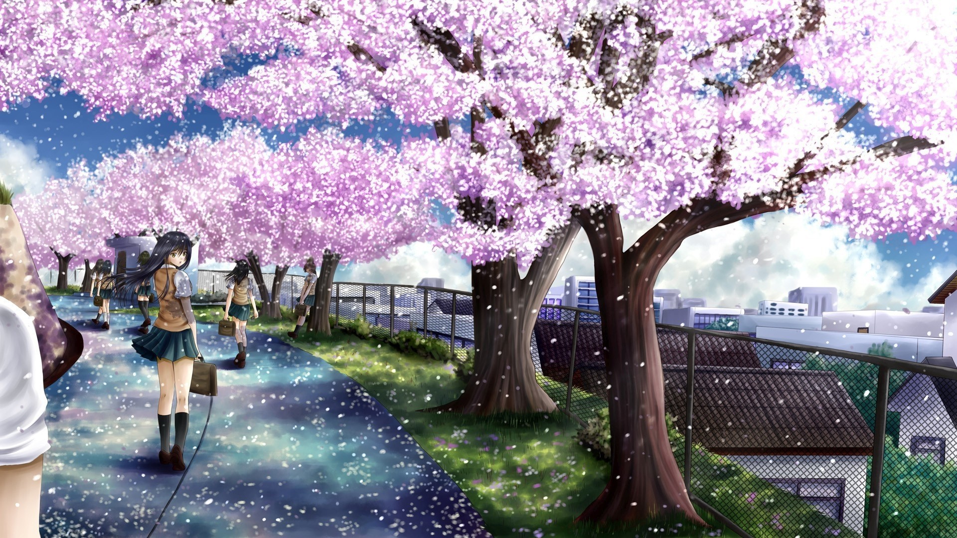 1920x1080 1920x1200 cherry blossom desktop wallpaper hd wallpapers x