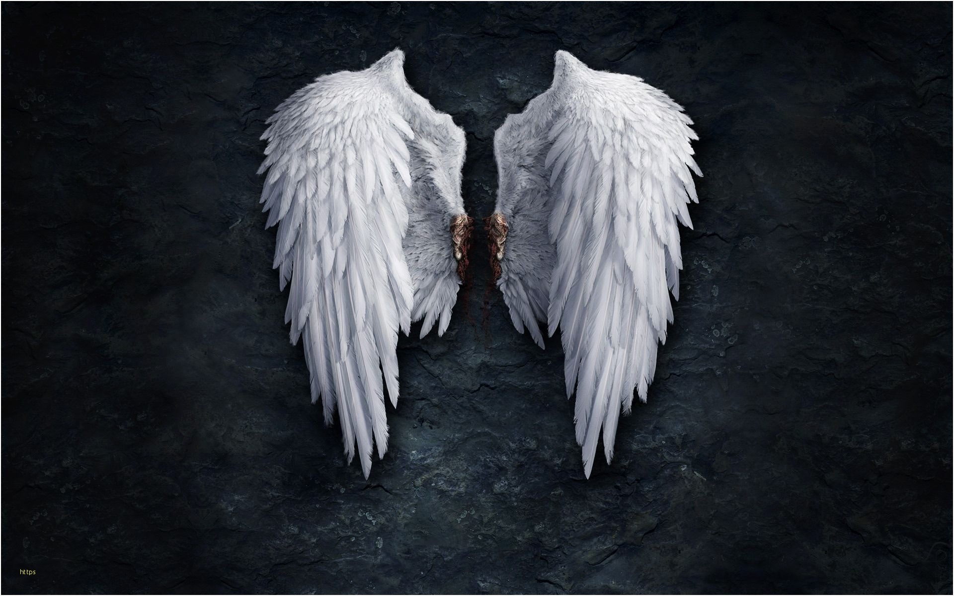 1920x1200 Weeping Angels Wallpaper Lovely Angel Wings Wallpapers and Images Wallpapers  Pictures