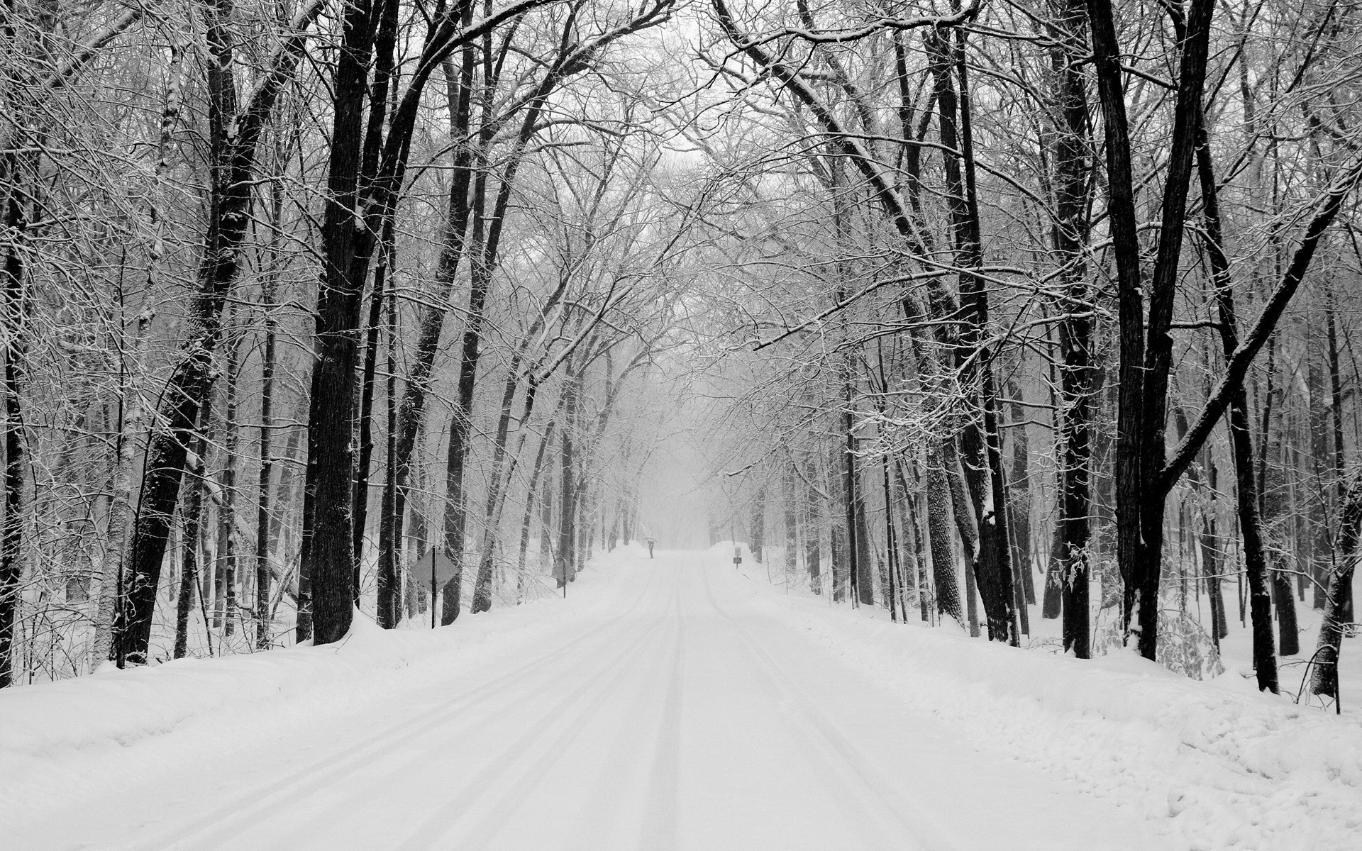 1920x1200 Snowy Road Wallpaper Winter Nature Wallpapers