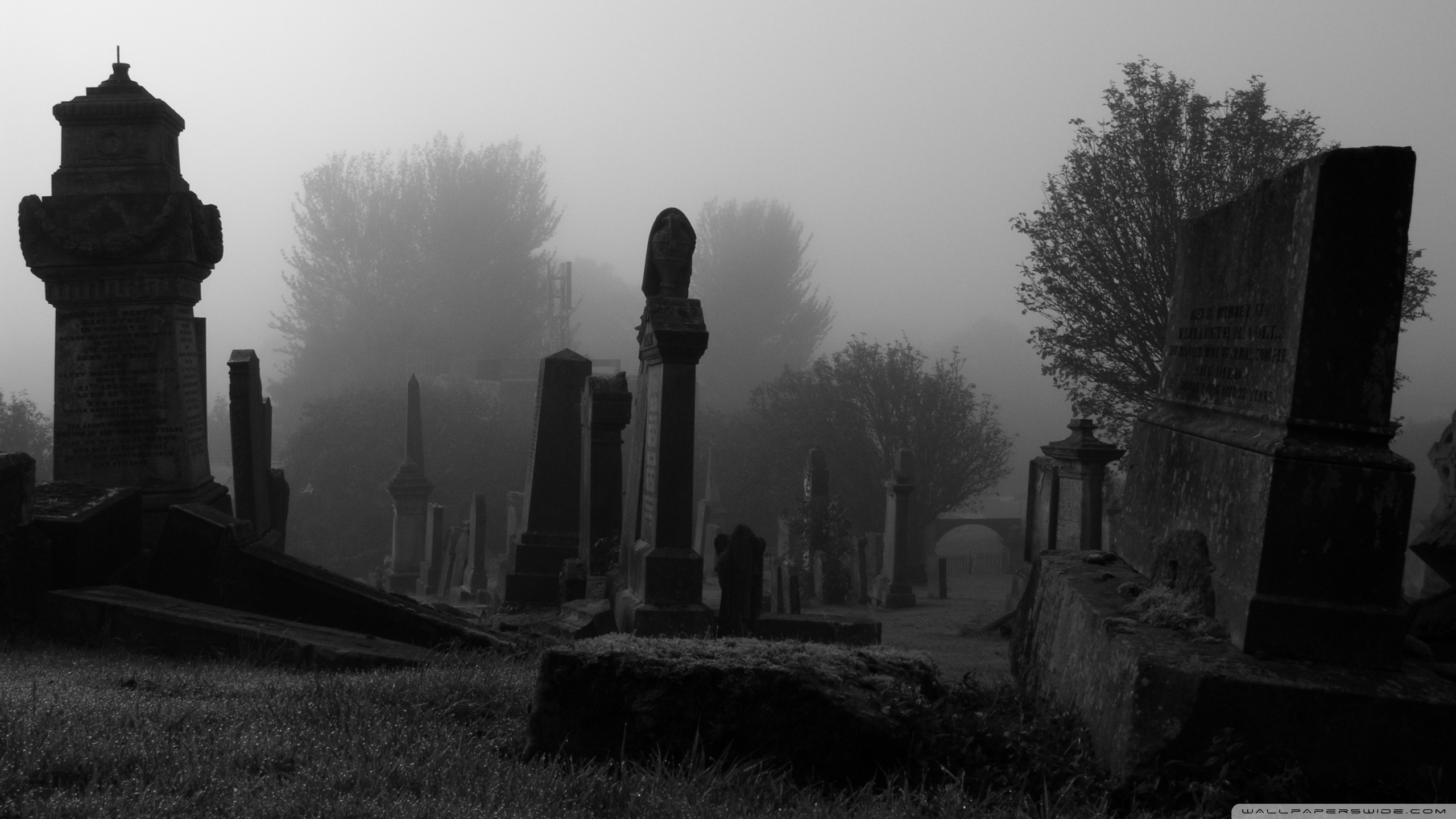 2560x1440 ... THE CEMETERY WALLPAPER - (#80406) - HD Wallpapers .