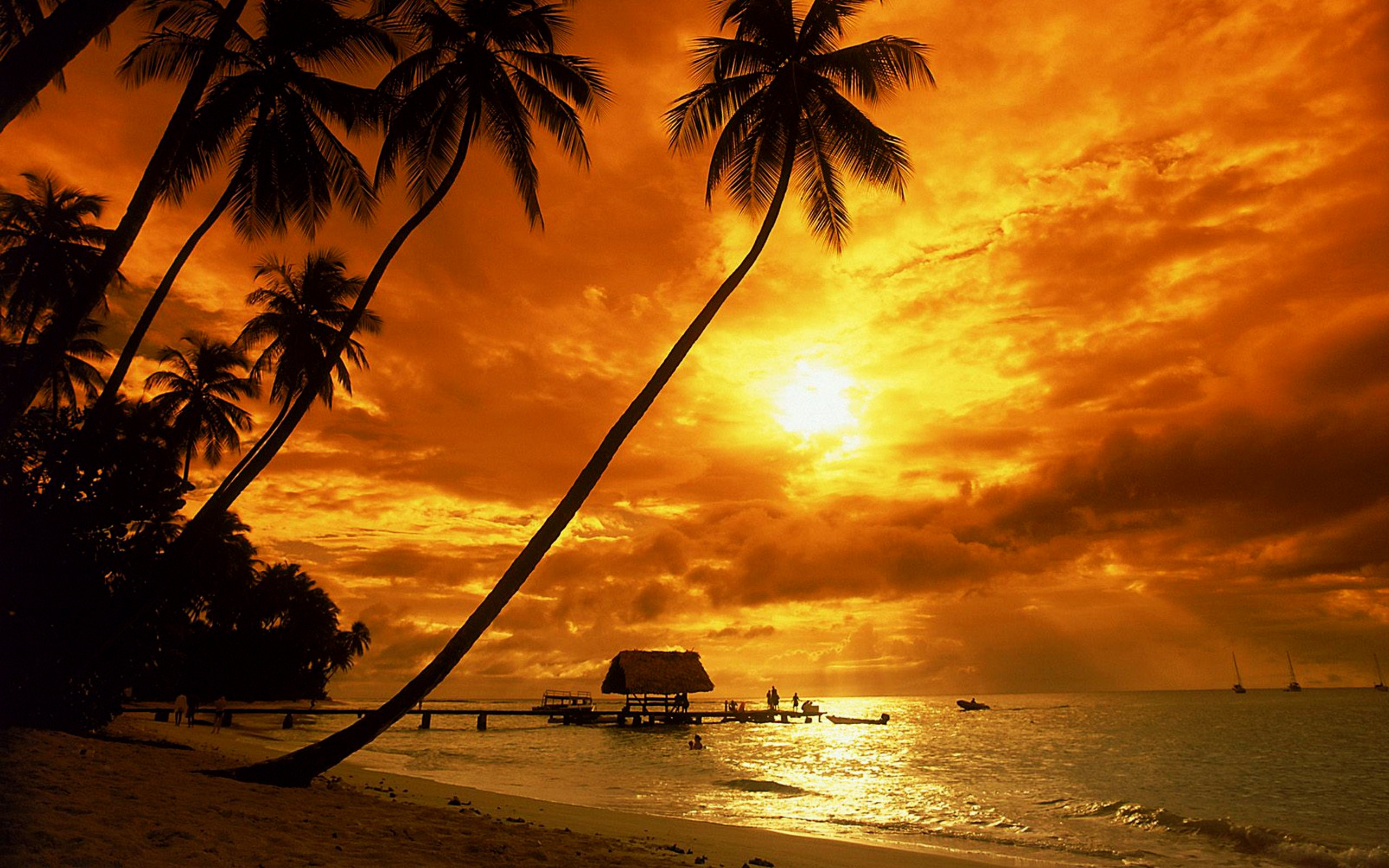 2560x1600 Tropical Beach Sunset Wallpaper. Tropical Beach Sunset Wallpaper C