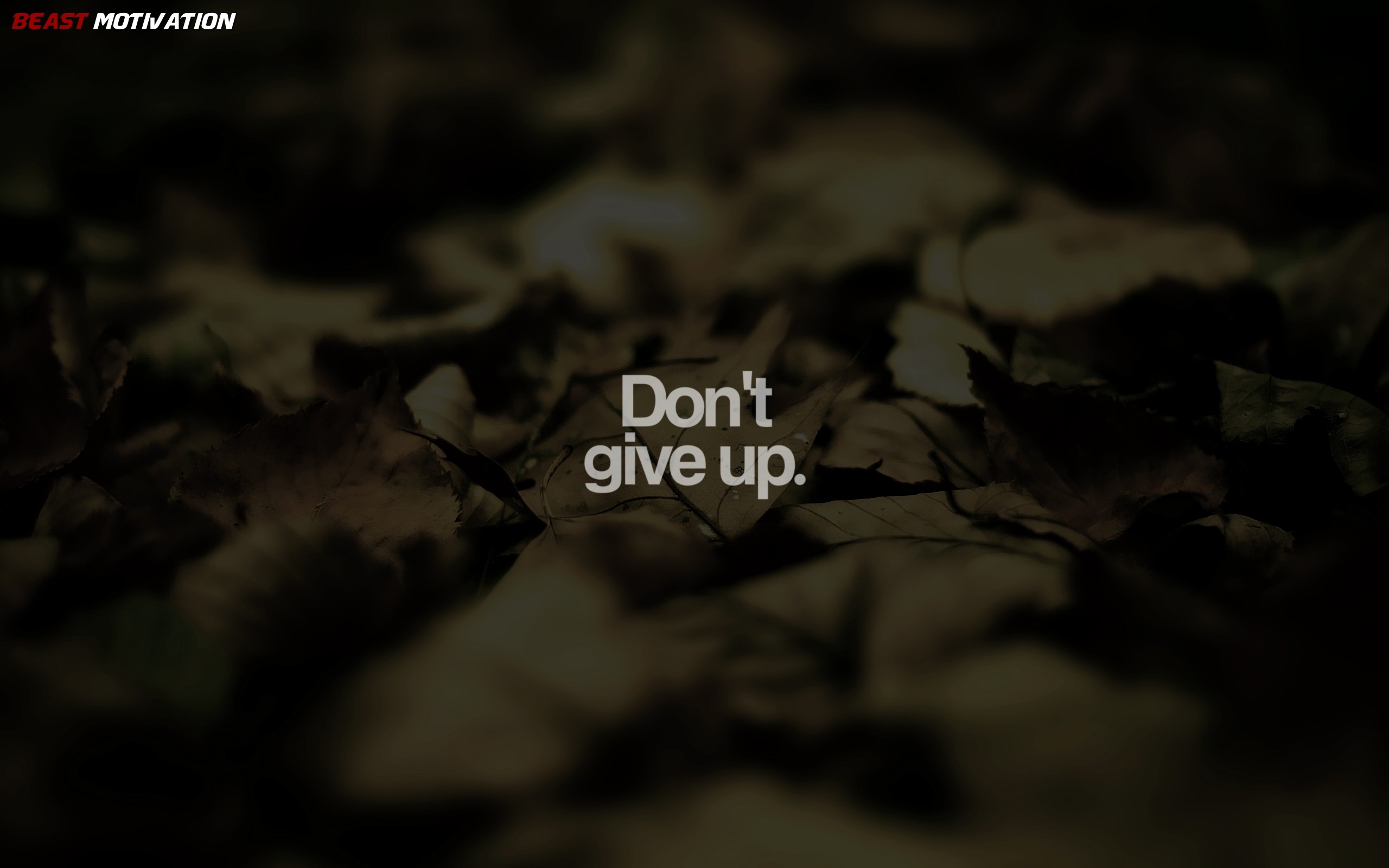 2560x1600 Don't Give Up