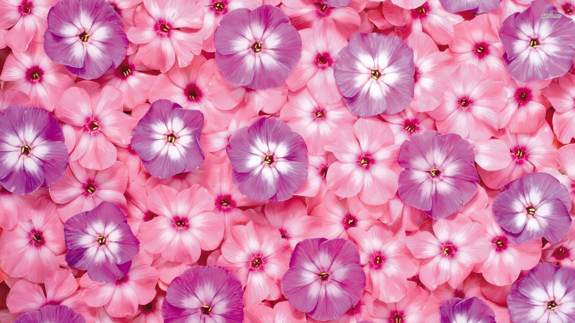 1920x1080 Pink And Purple Floral Wallpaper