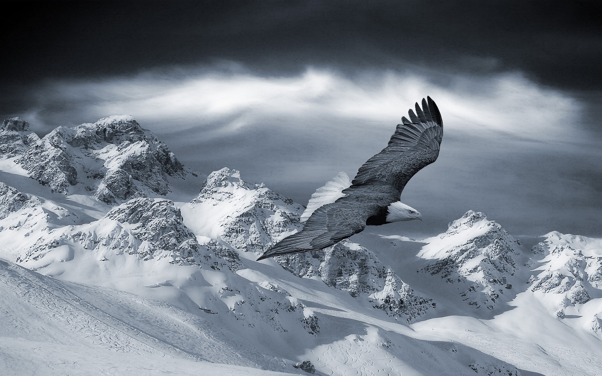 1920x1200 Eagle Flying over the Snowy Mountains wallpaper