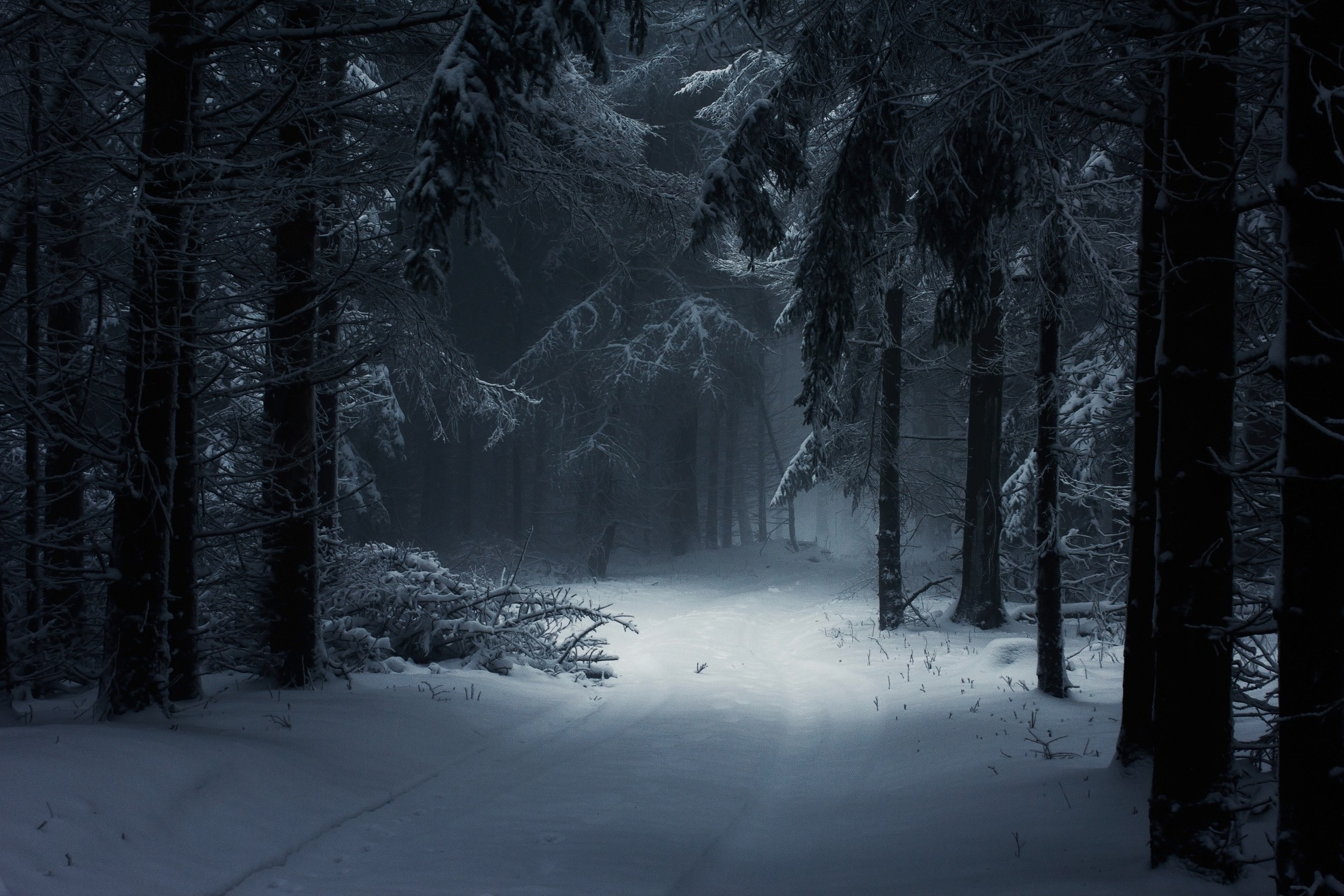 2500x1667 ... Landscape, Nature, Winter, Forest, Snow, Mist, Daylight, Path, Trees,  Atmosphere, Fairy Tale, Hungary Wallpapers HD / Desktop and Mobile  Backgrounds