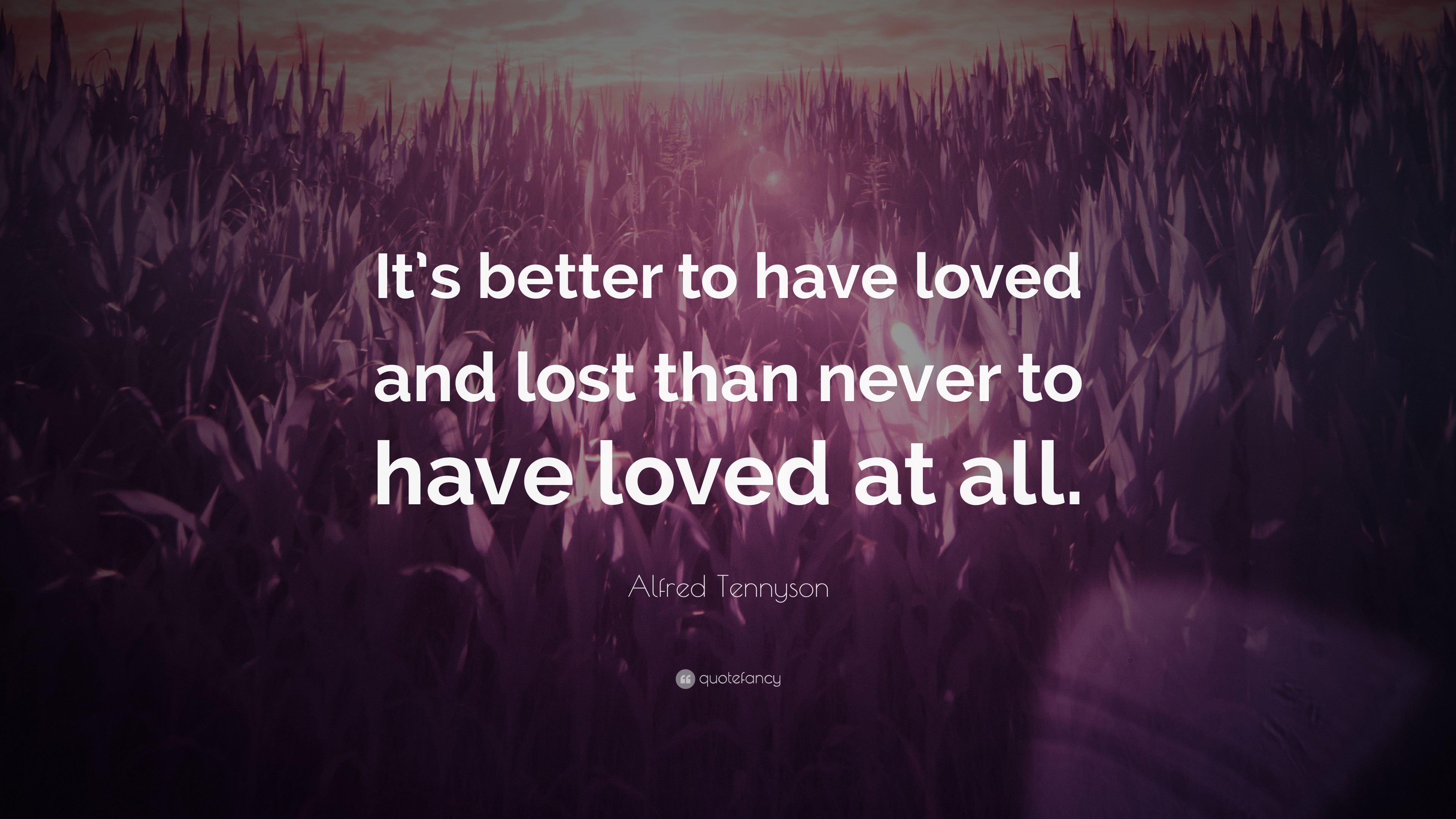 3840x2160 Love Quotes: “It's better to have loved and lost than never to have loved
