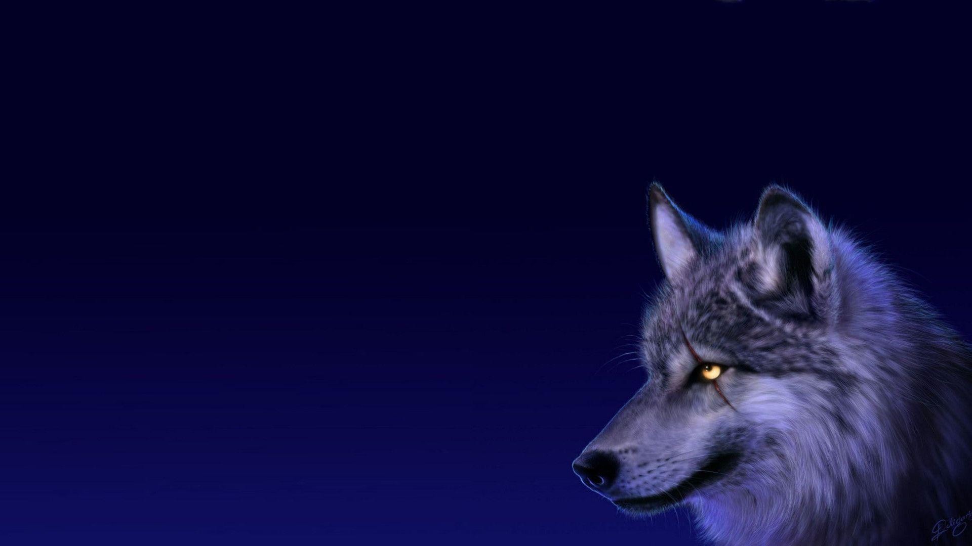 1920x1080 Beautiful Wolf Wallpapers - Wallpaper Cave
