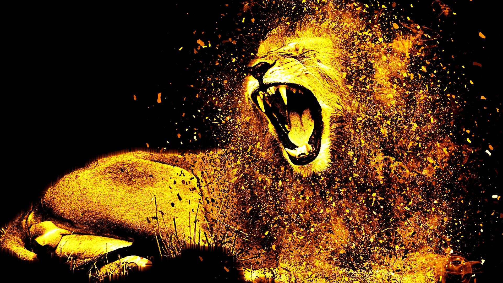 1920x1080 Majestic Lion HD Wallpaper