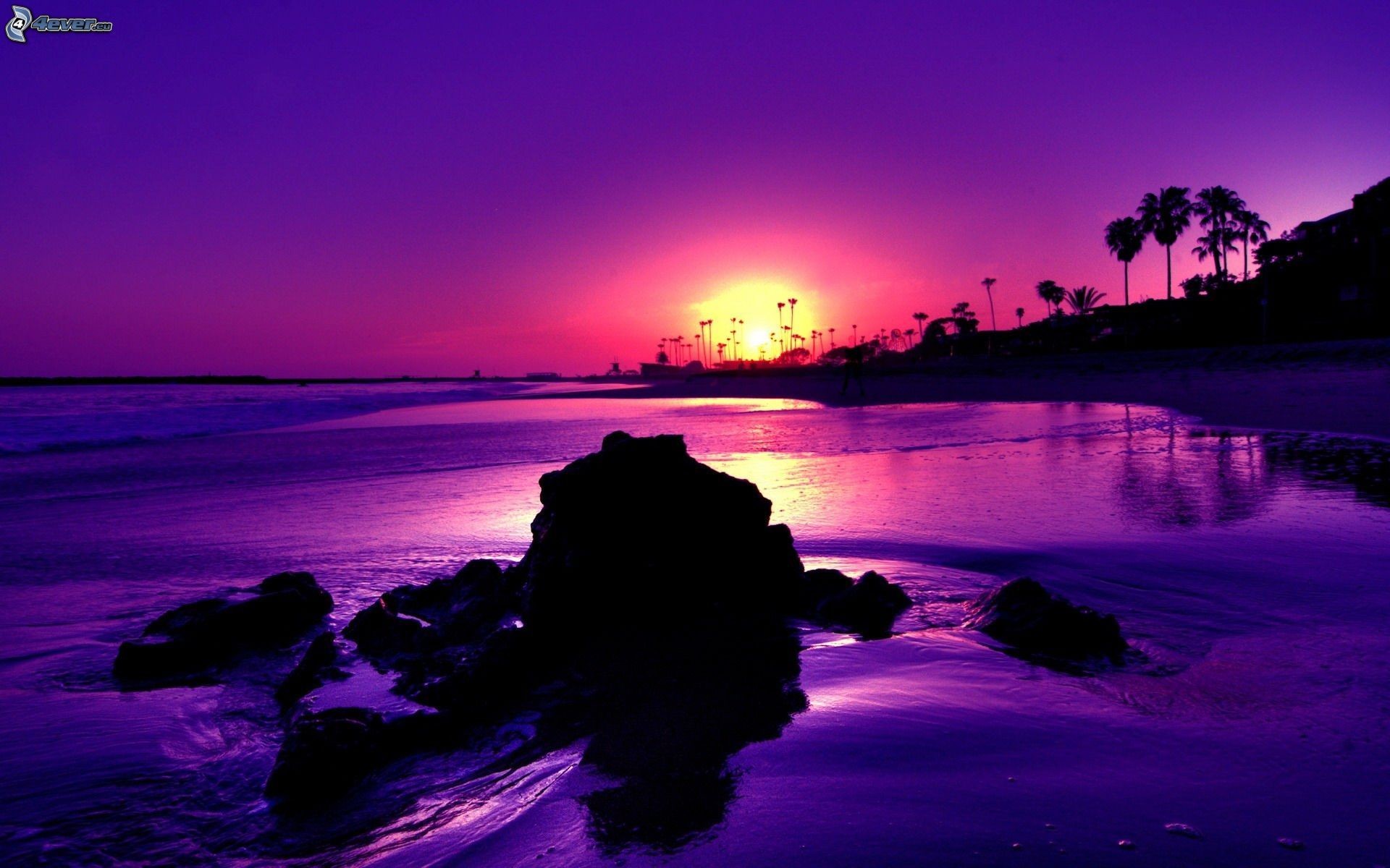 1920x1200 Purple Ocean Sunset