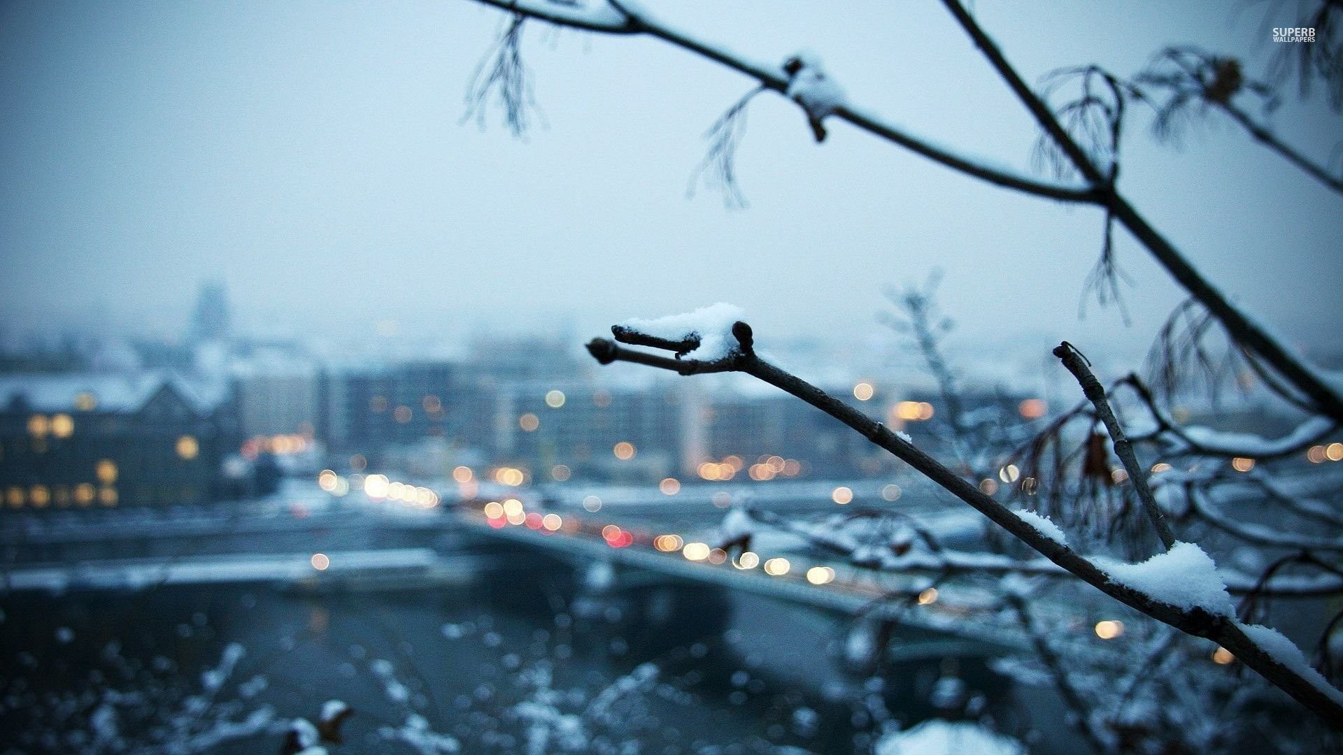 1920x1080 Snowy Branch With The City In Background