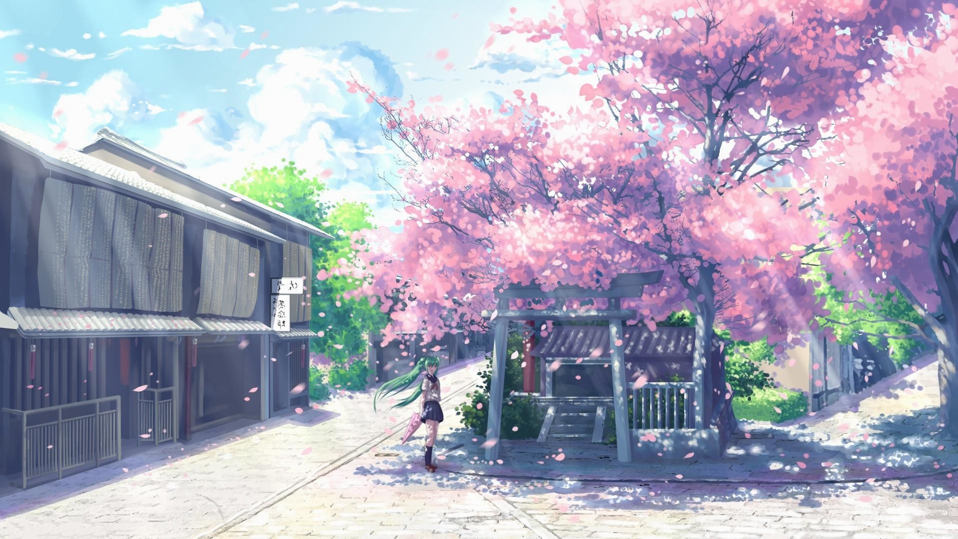 1920x1080 wallpaper.wiki-Anime-Cherry-Blossom-Hi-Res--