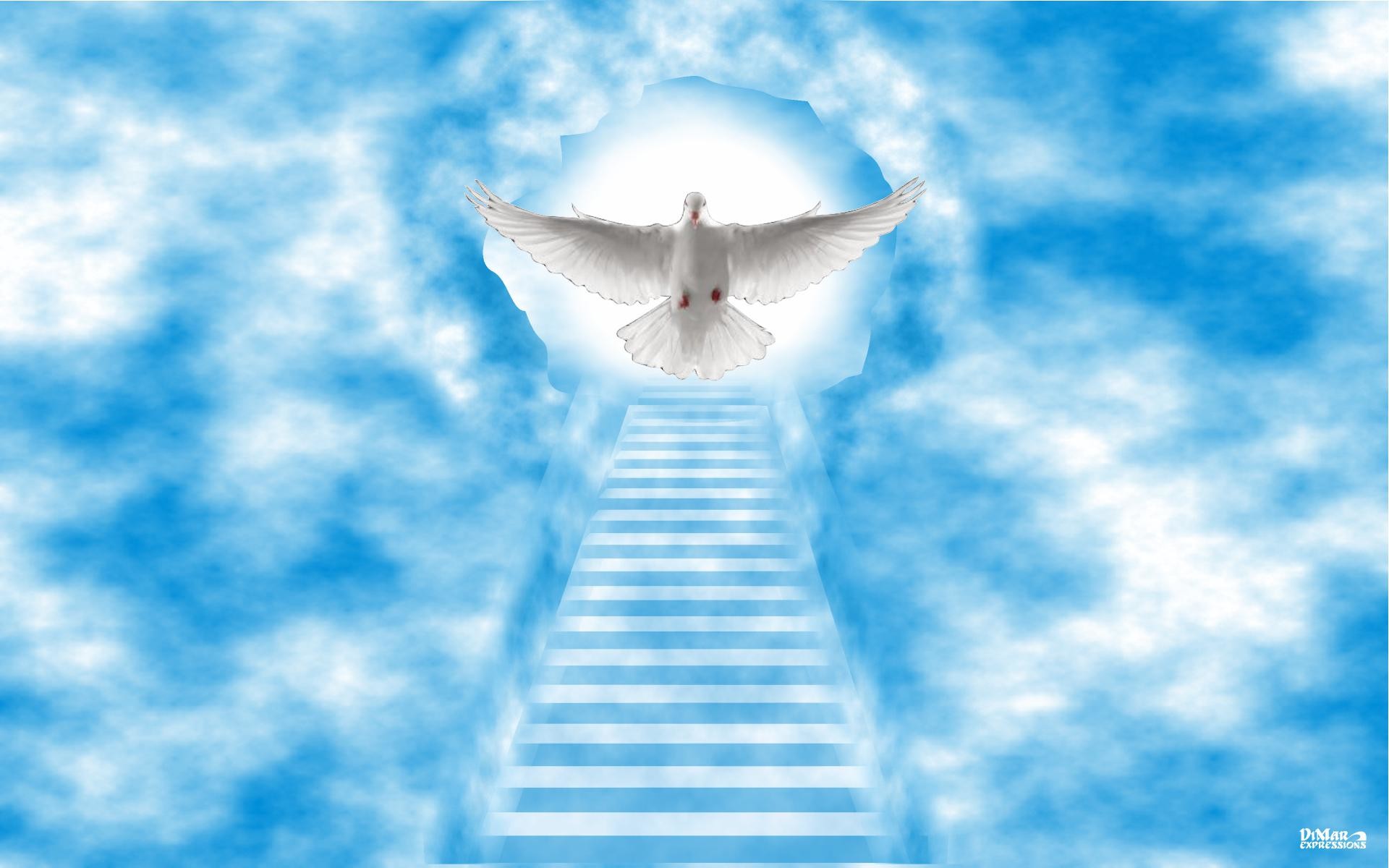 1920x1200 Stairway to Heaven Desktop Wallpaper