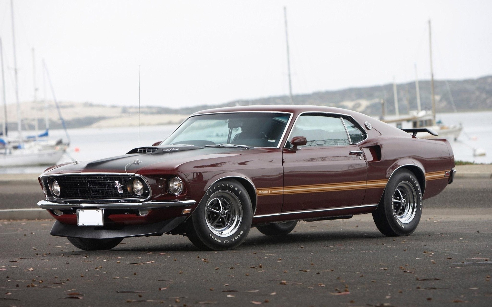 1920x1200 11 Ford Mustang Mach 1 HD Wallpapers | Backgrounds - Wallpaper Abyss
