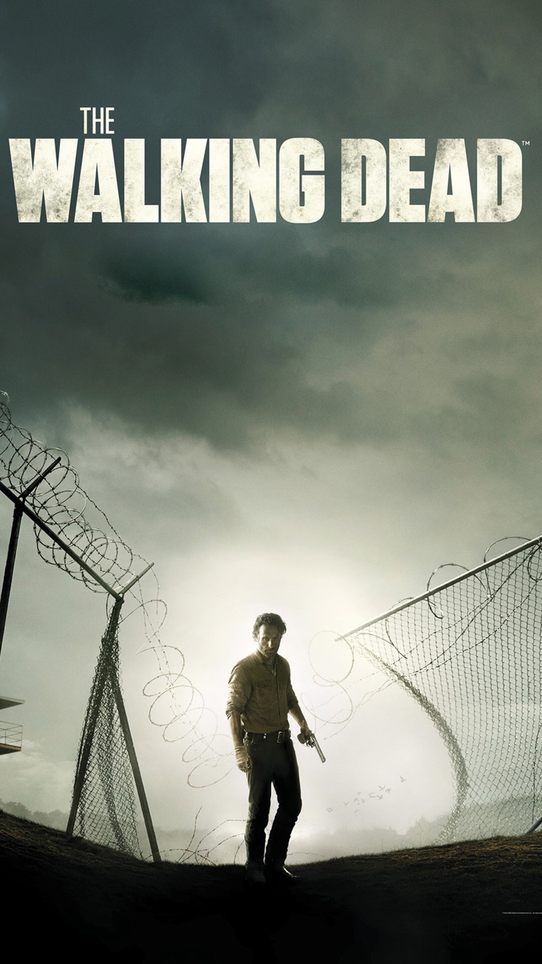1080x1920 The Walking Dead Wallpaper