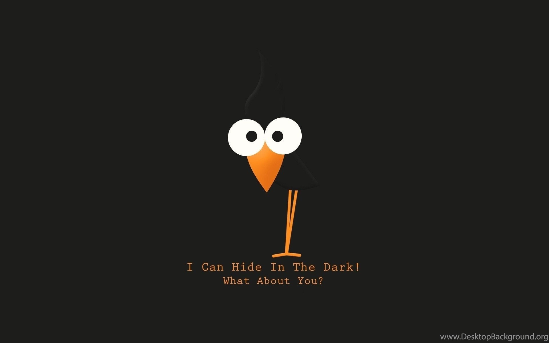 1920x1200 Bird text funny hd wallpapers