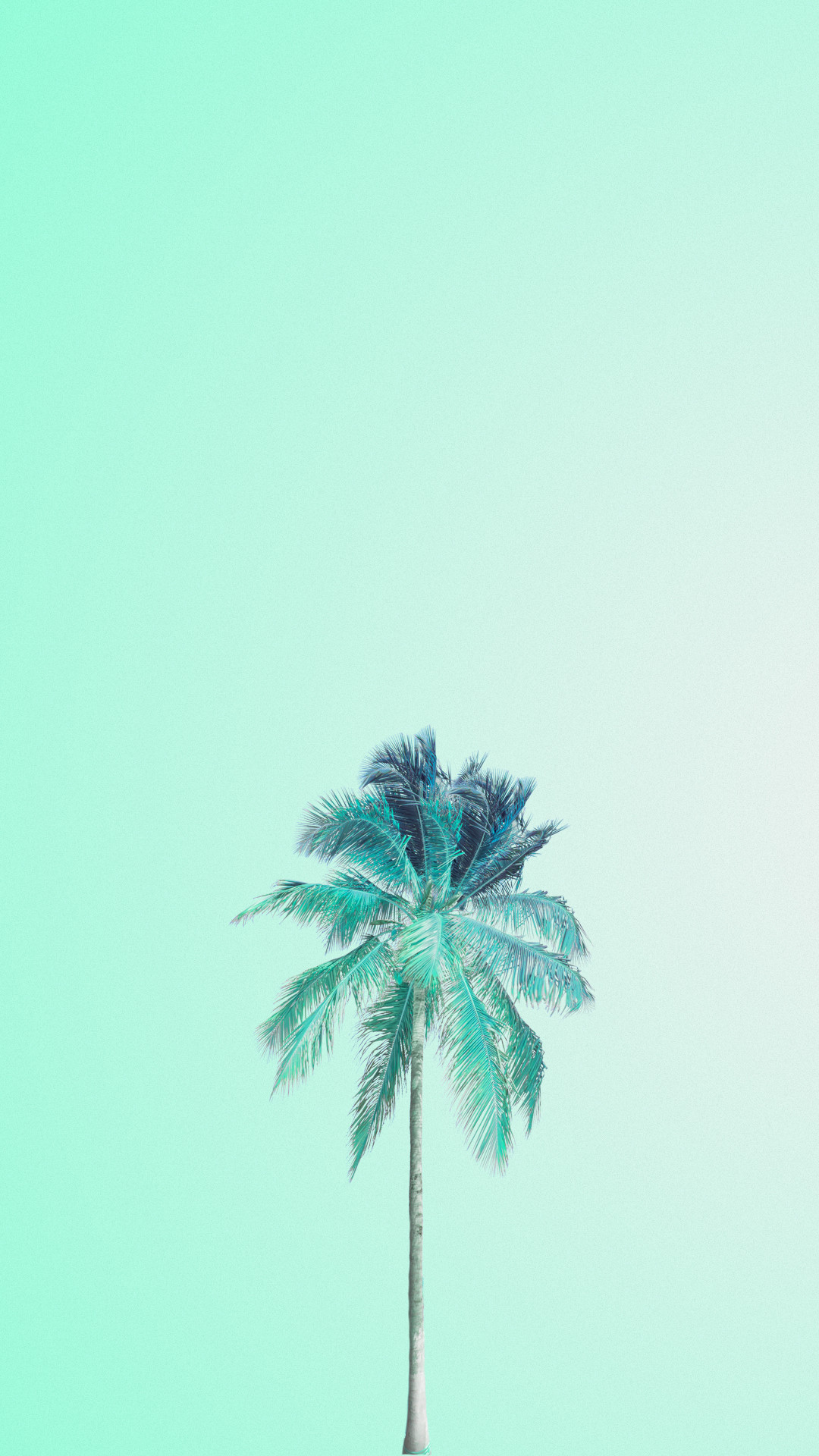 1080x1920 Mint green palm tree iphone wallpaper phone background lock screen