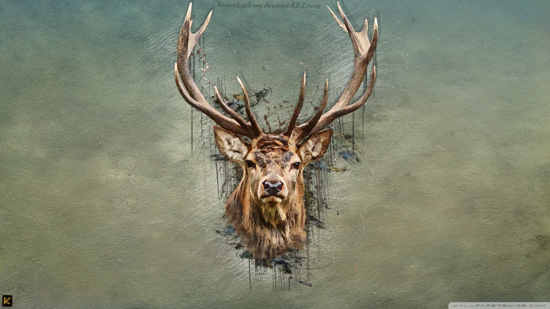 1920x1080 Deer Wallpapers