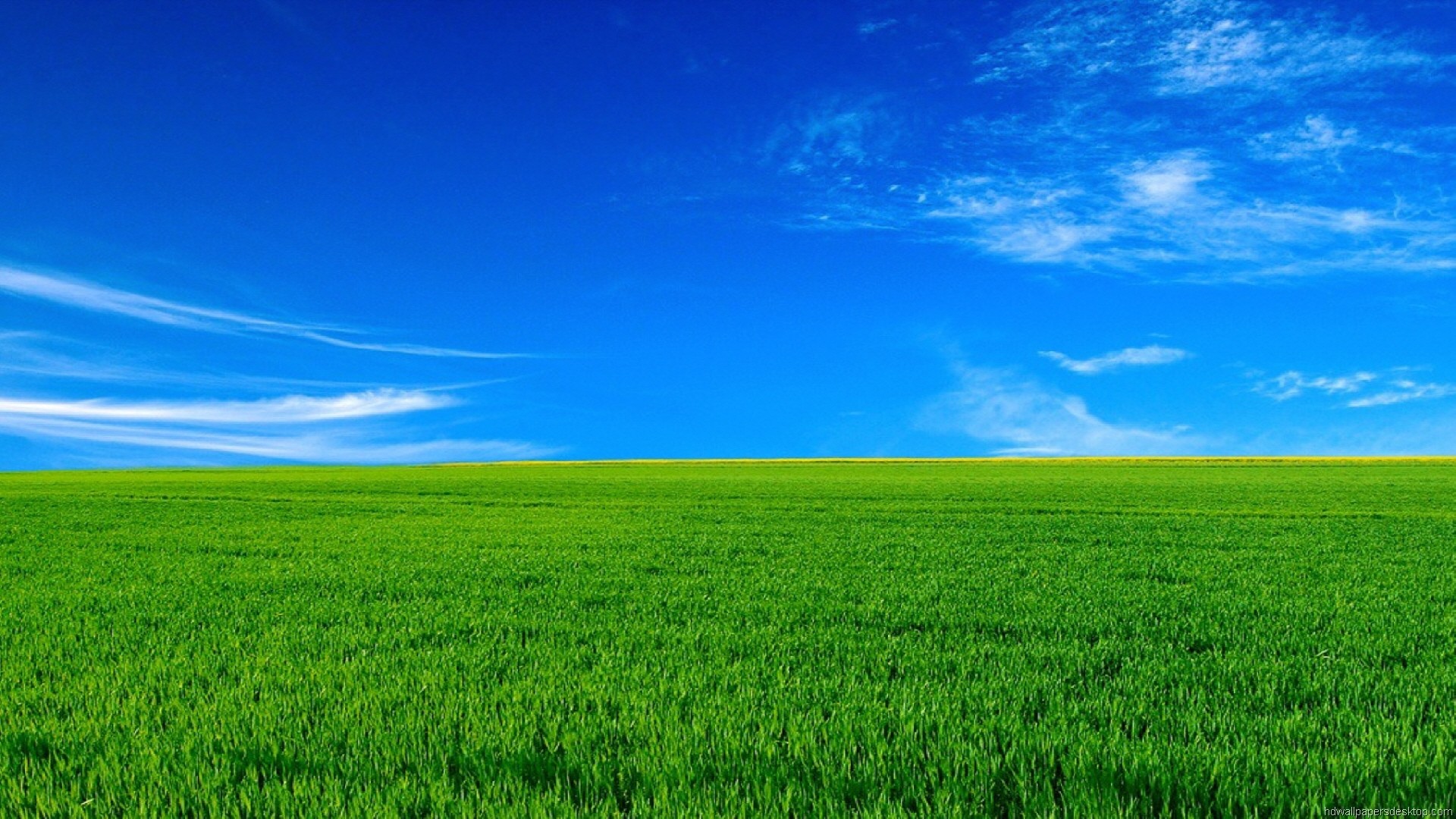 1920x1080 Sky With Green Nature Wallpaper 10 Best Images About Nature Places Wallpaper  PC Pictures Full HD ...
