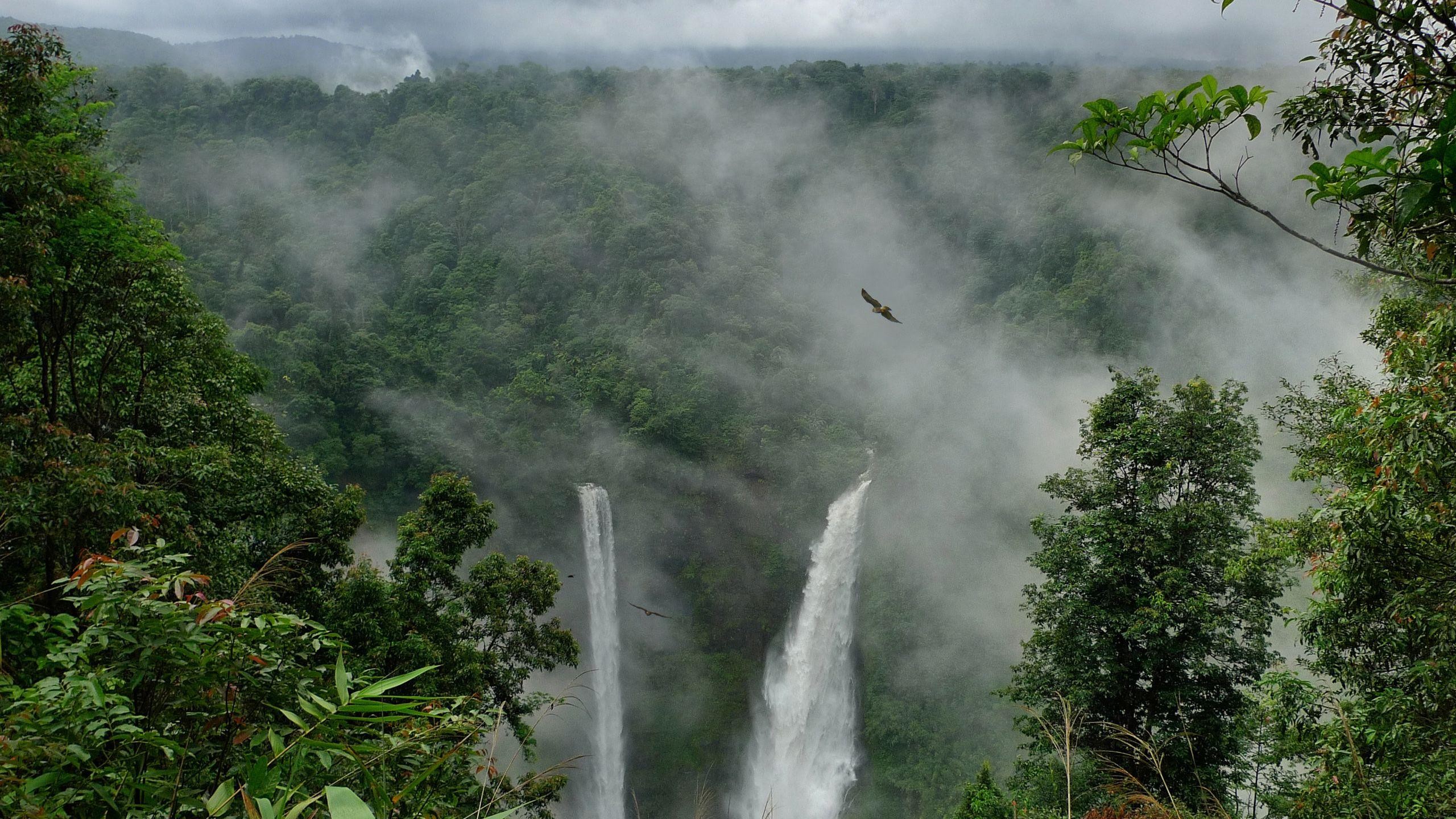 HD wallpaper: waterfall, amazon, nature, body of water, rainforest,  watercourse | Wallpaper Flare