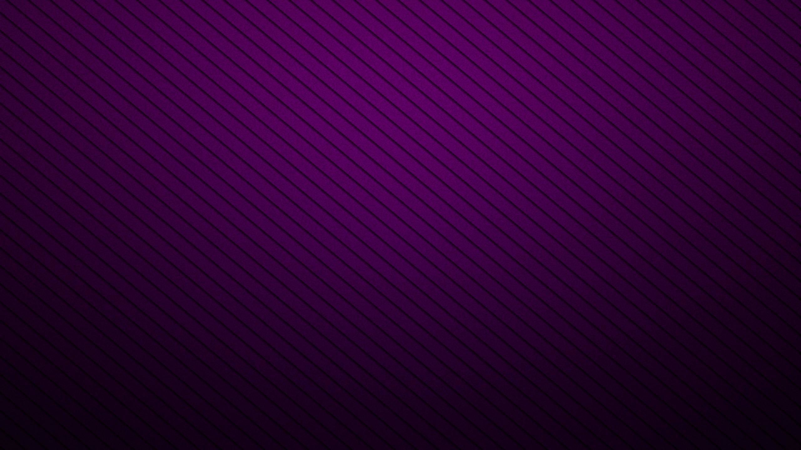 2560x1440 Purple and Black Wallpaper