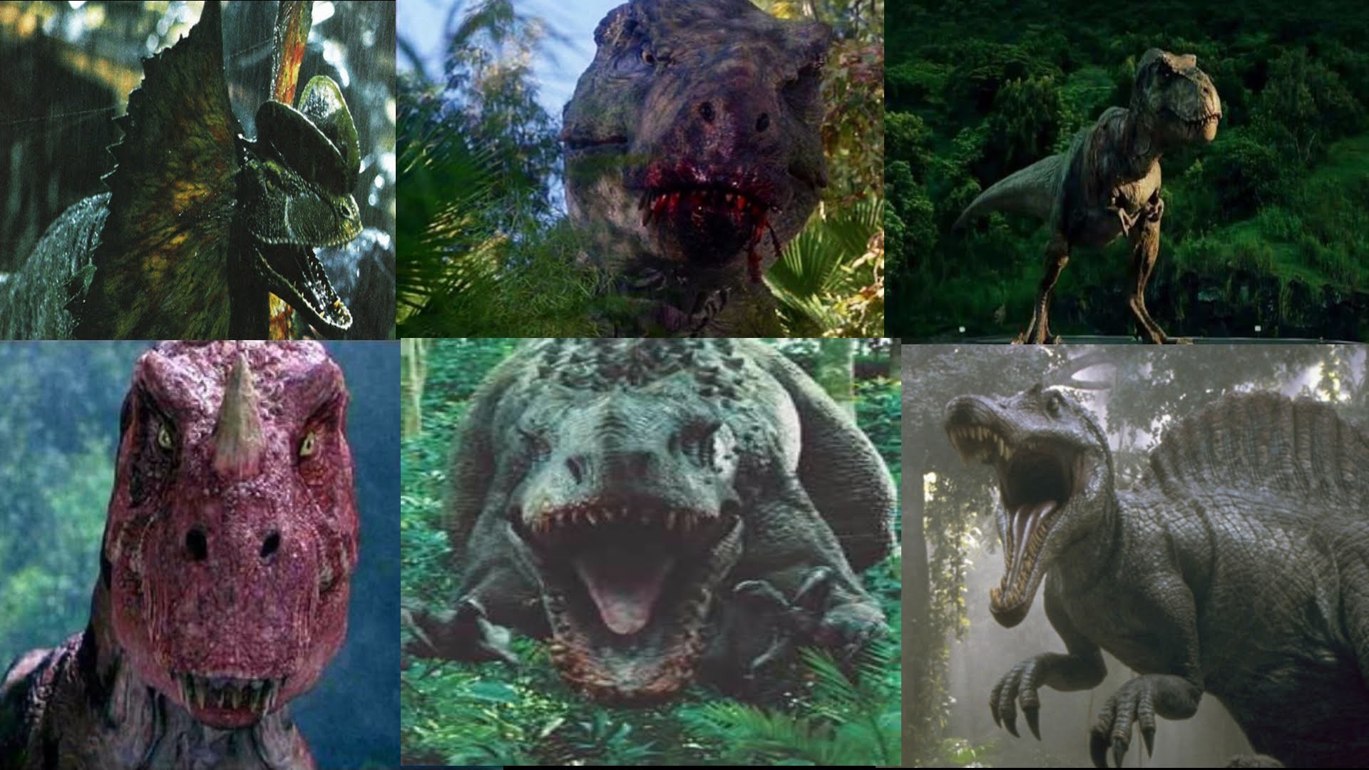1920x1080 Dilo vs Buck T-Rex vs Rexy vs Ceratosaurus vs I-Rex vs Spinosaurus - YouTube