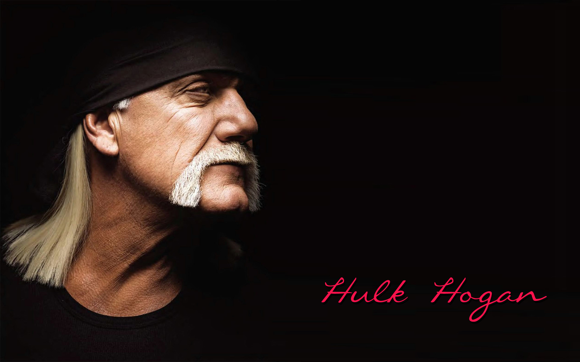 1920x1200 Hulk Hogan wallpaper | WWE wallpaper | Pinterest | Hulk hogan, Hulk and  Wallpaper