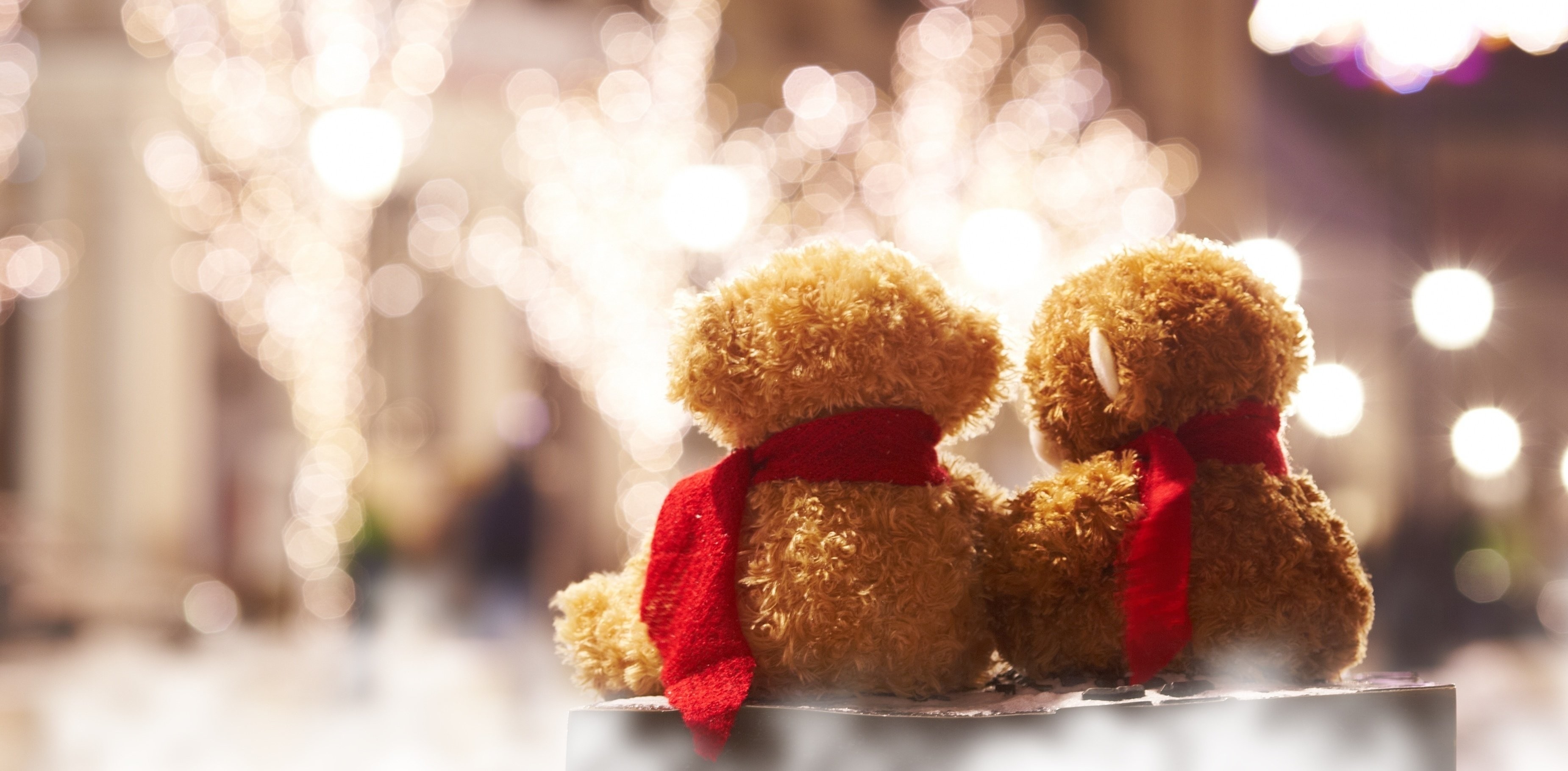 3700x1820 Teddy bear romance together lights love mood toy wallpaper |  |  848754 | WallpaperUP