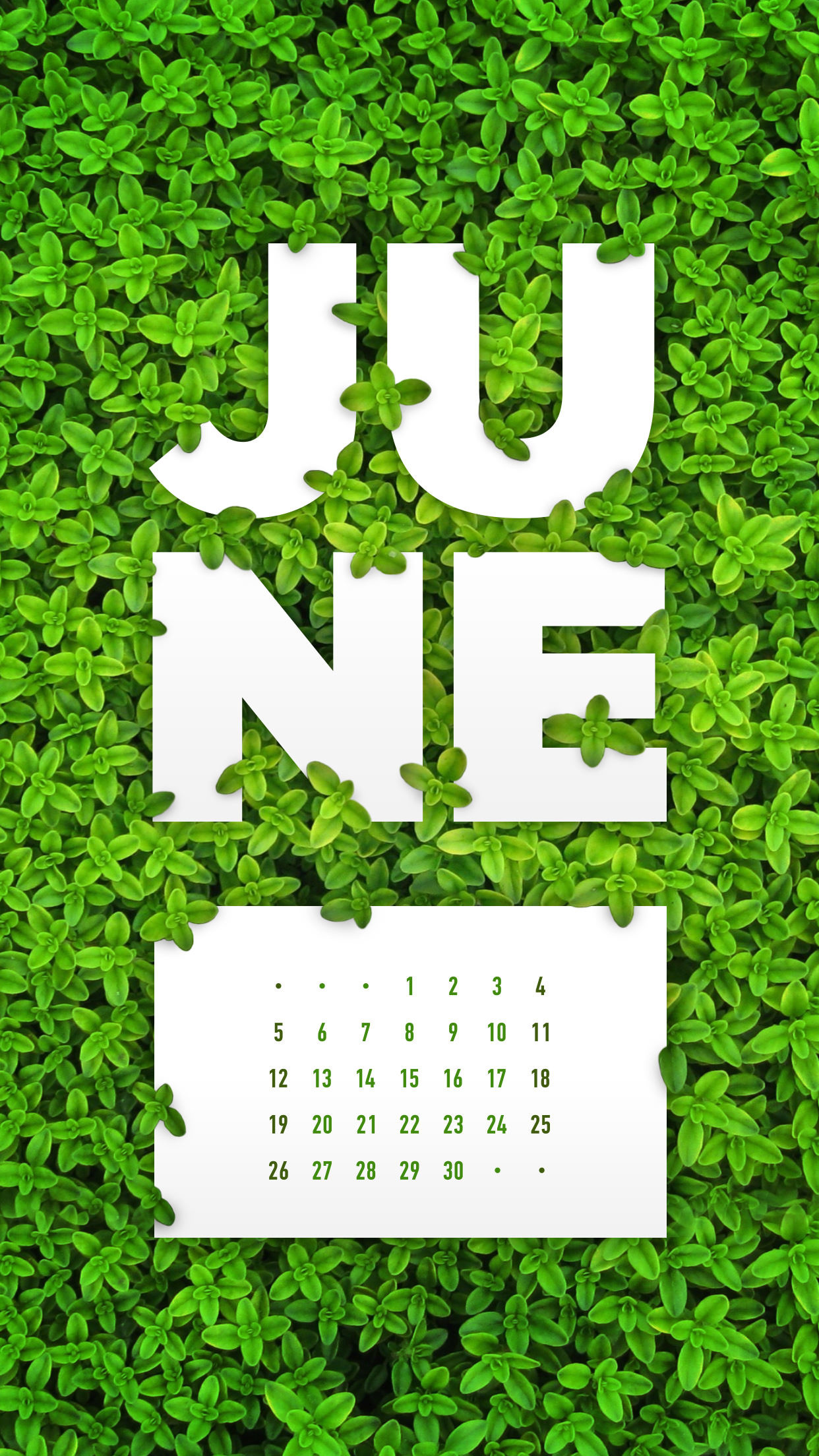 1242x2208 June 2016 Desktop Calendar Wallpaper