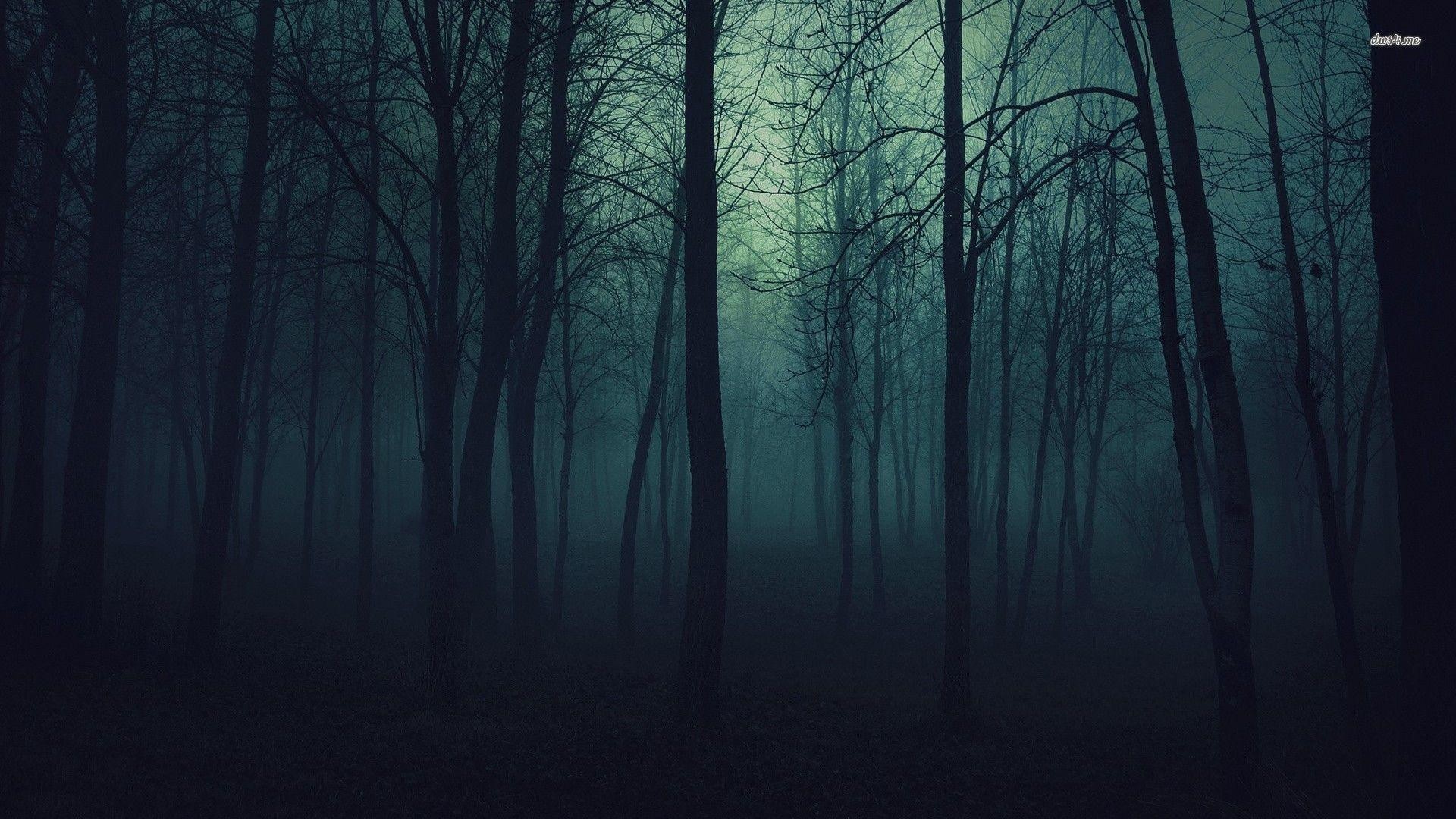 1920x1080 Wallpapers For > Dark Forest Wallpaper